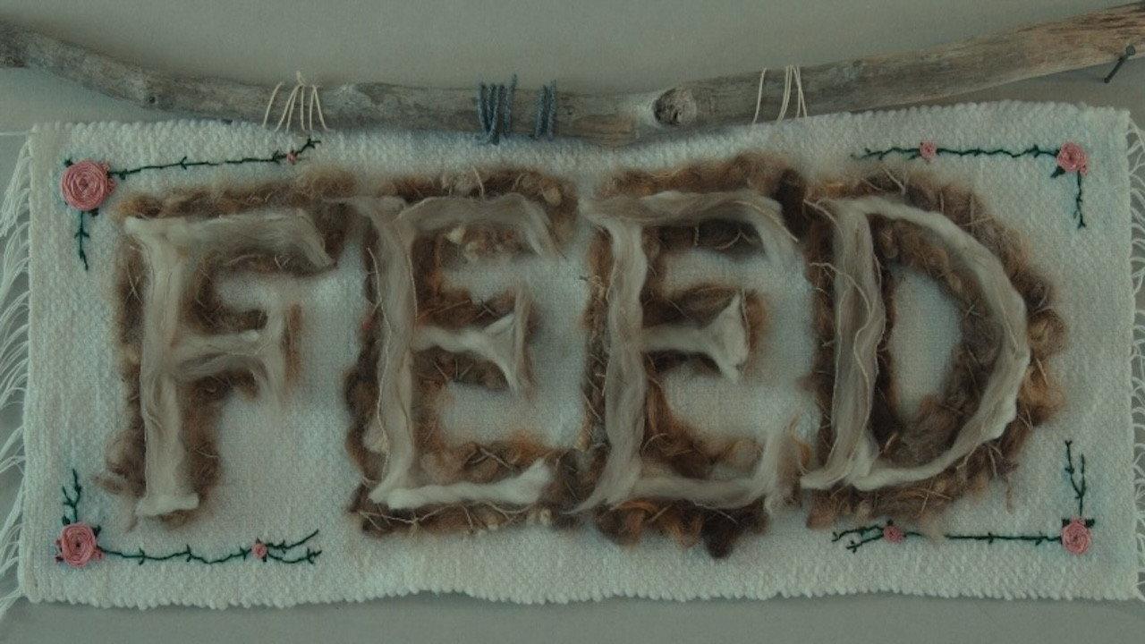 Feed