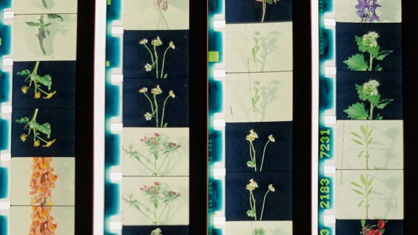 Lover, Lovers, Loving, Love