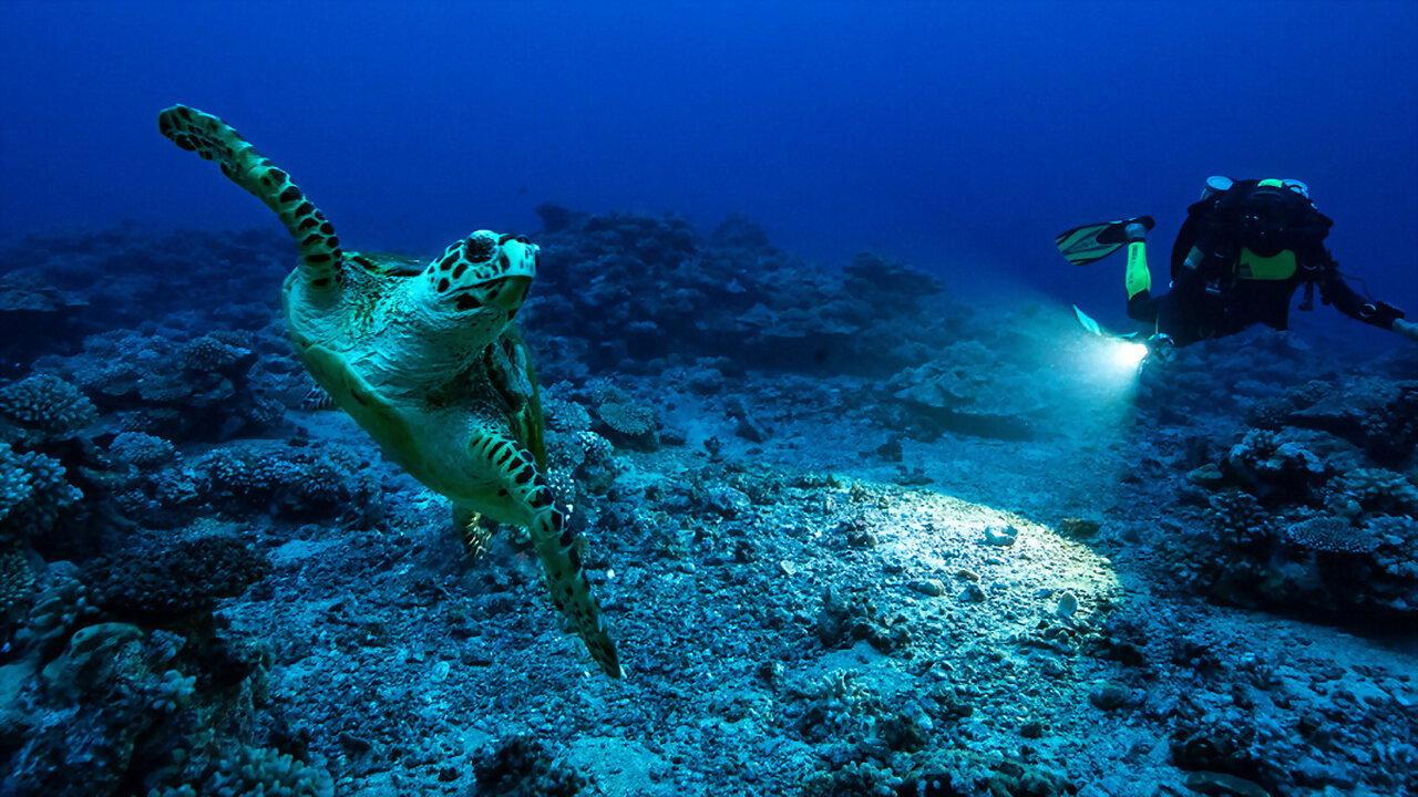 碧海英雄