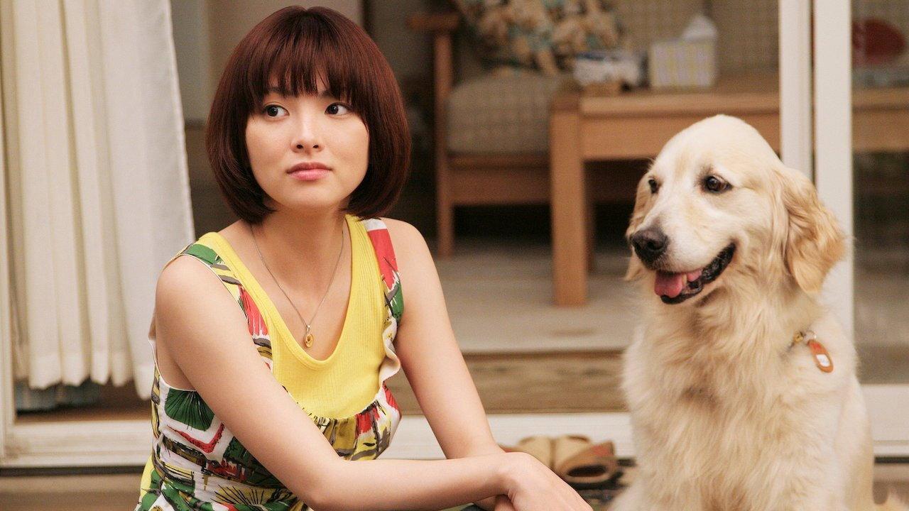 狗狗与我的十个约定