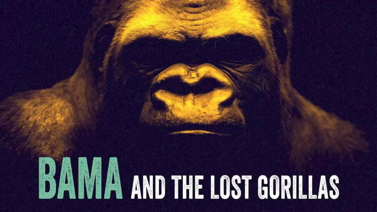 Bama, der Gorillamann - Abenteuer in Kamerun