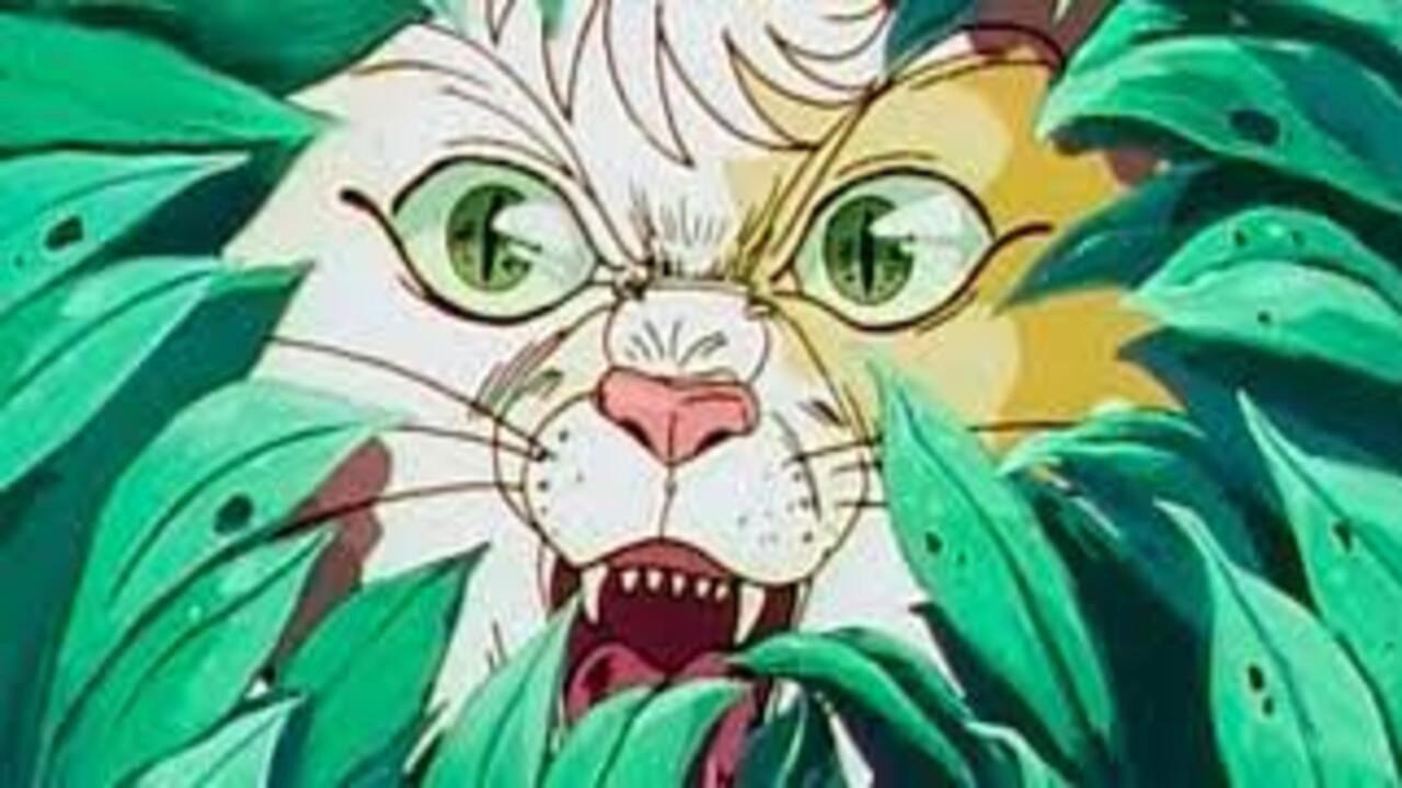 暗黑之猫
