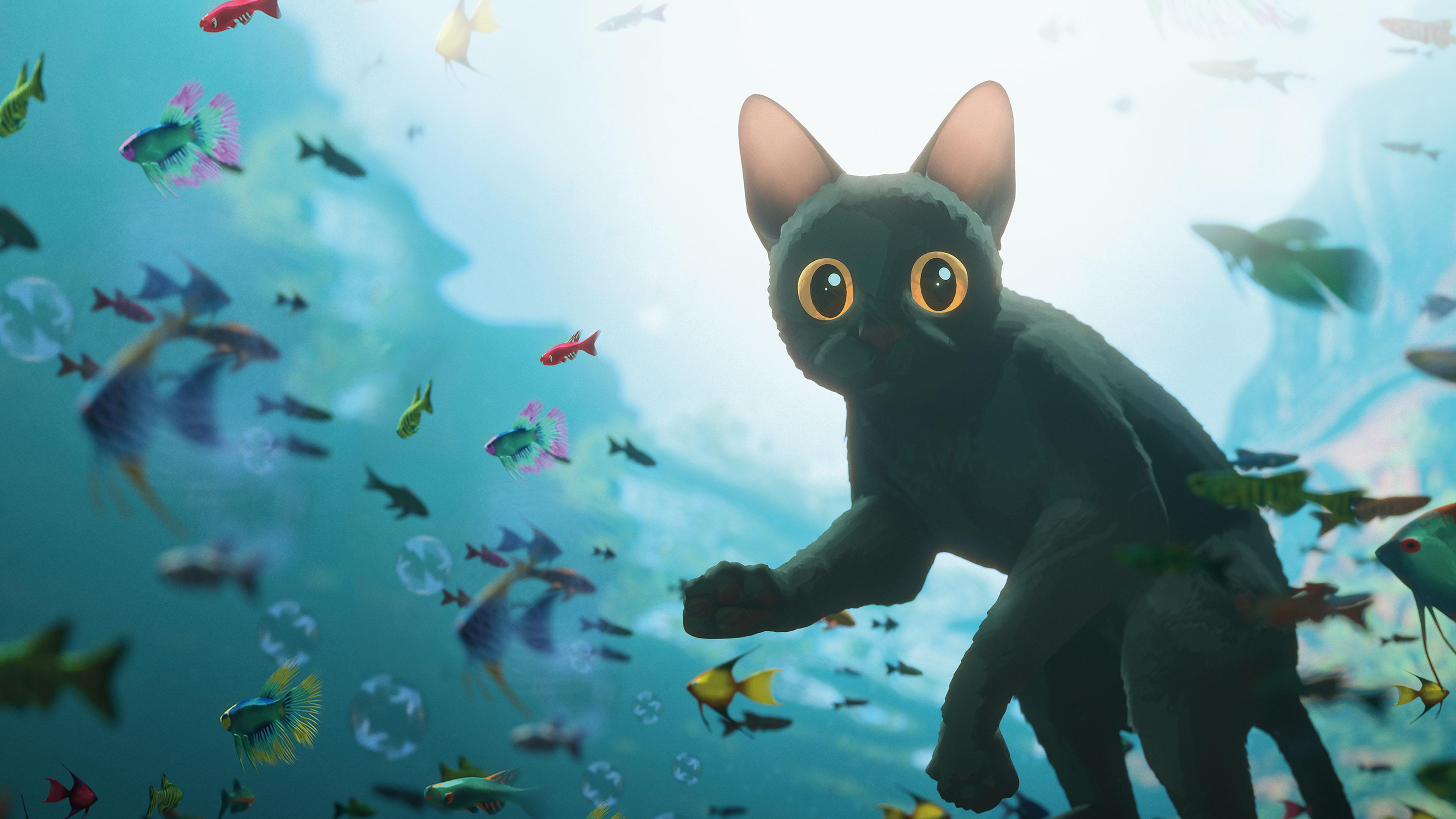 猫猫的奇幻漂流