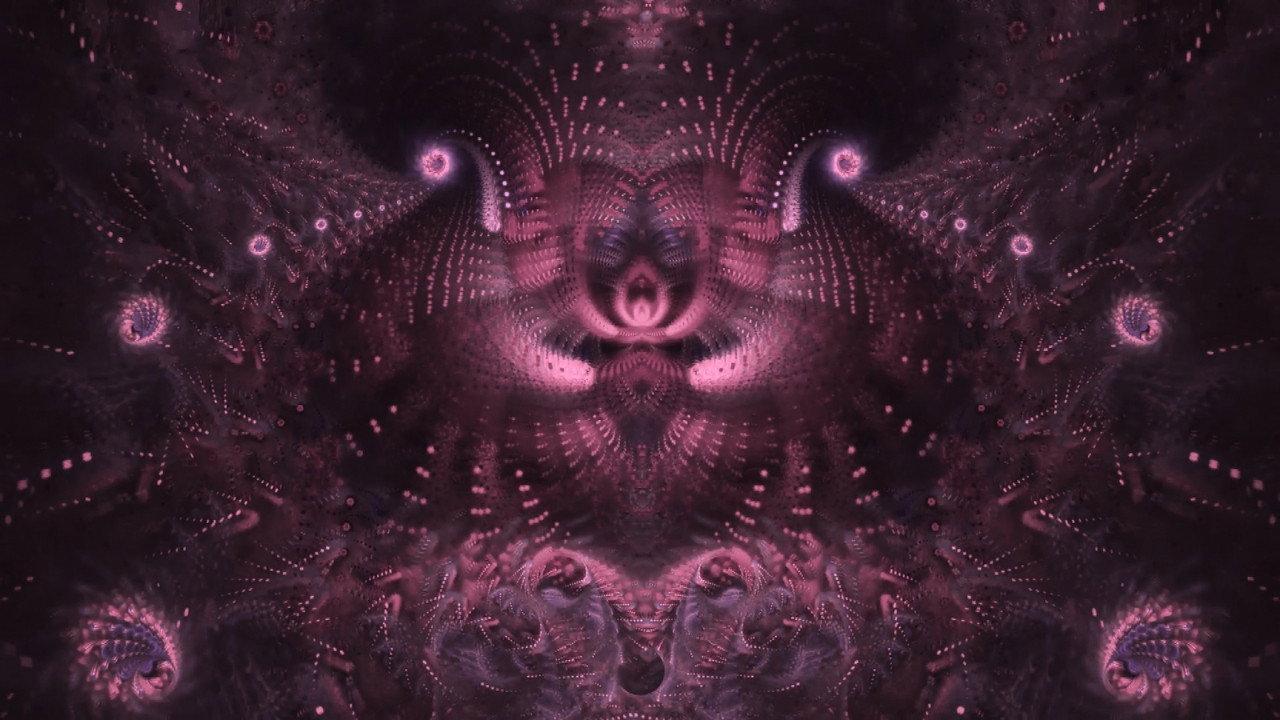 二甲基色胺:精神分子