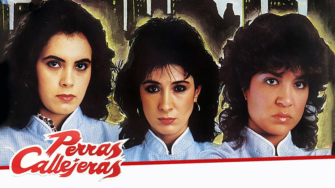 Perras callejeras