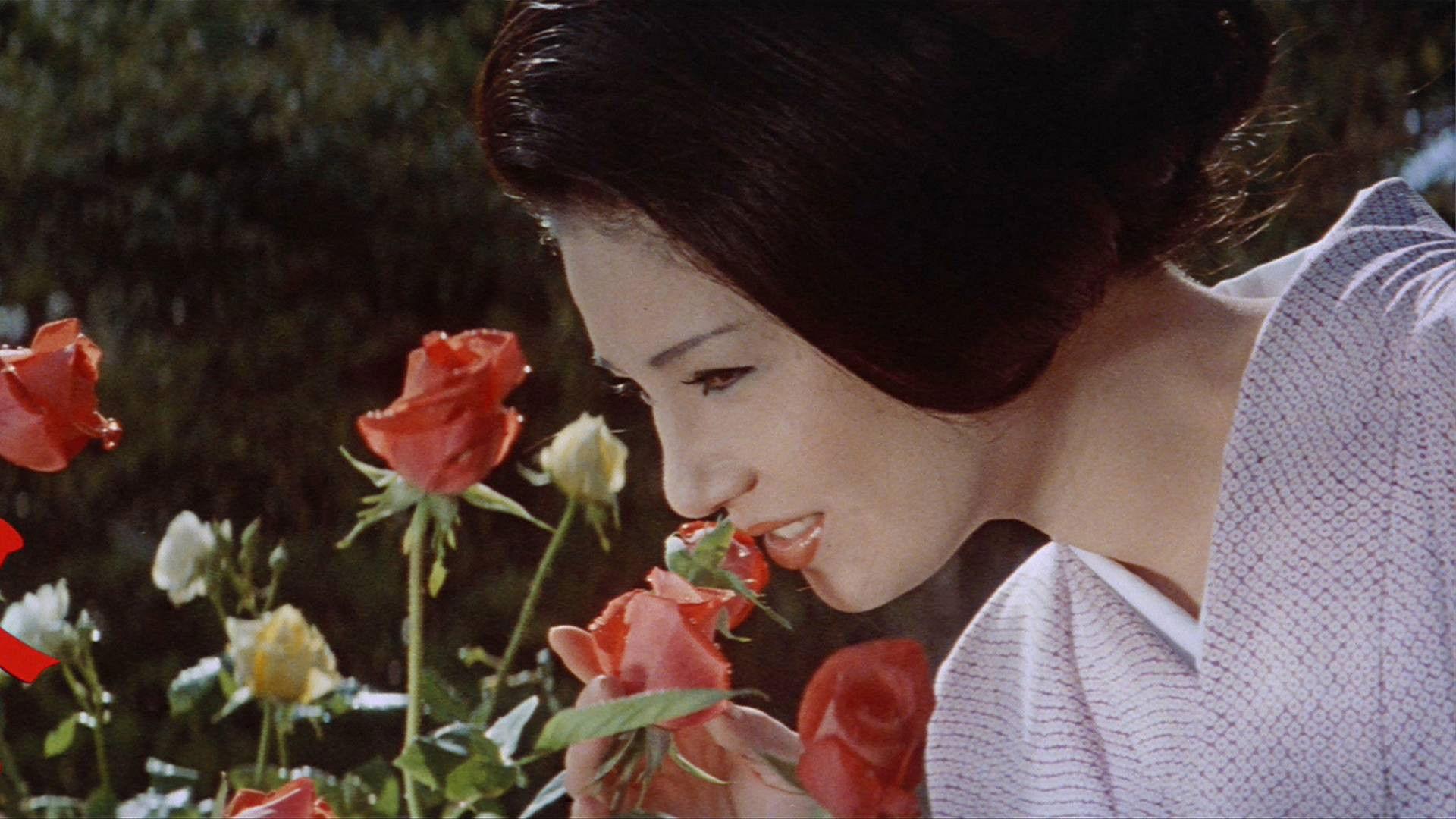 花与蛇