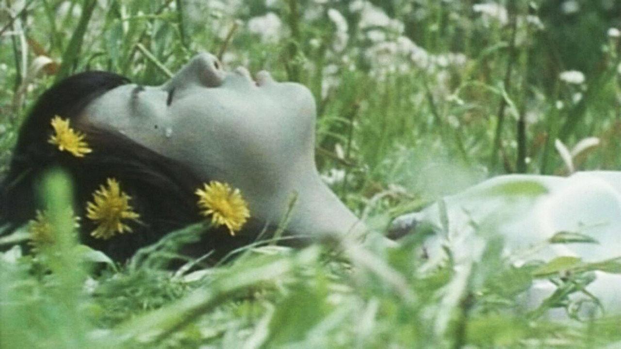 传说在下午，有时会遇到吸血鬼