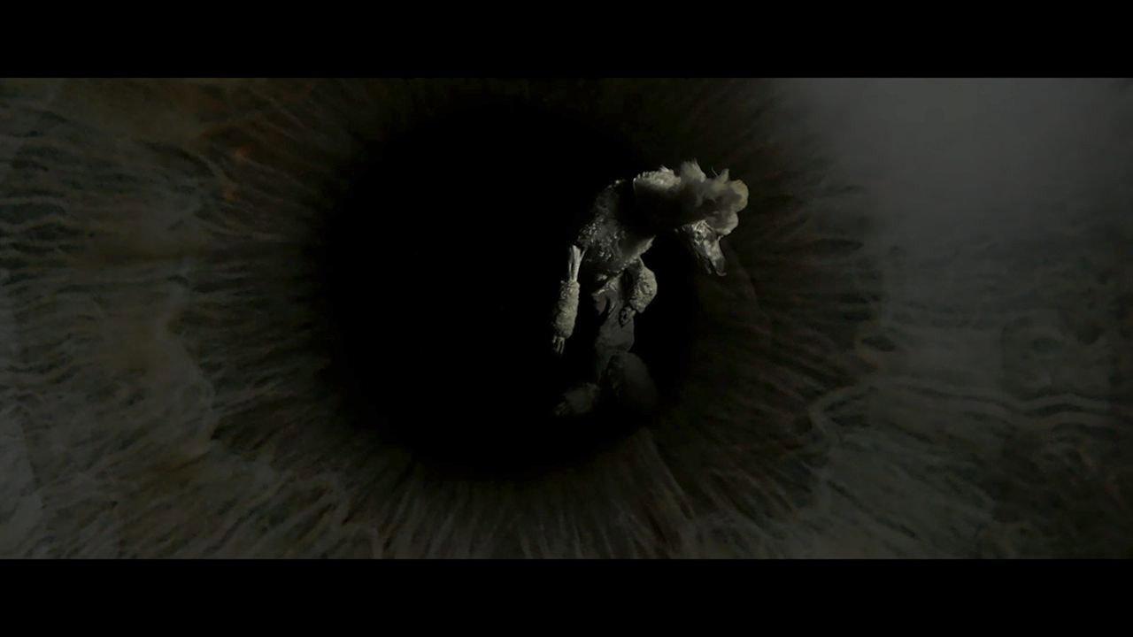 The Visit