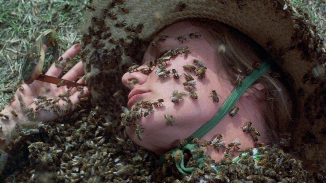 杀人蜂