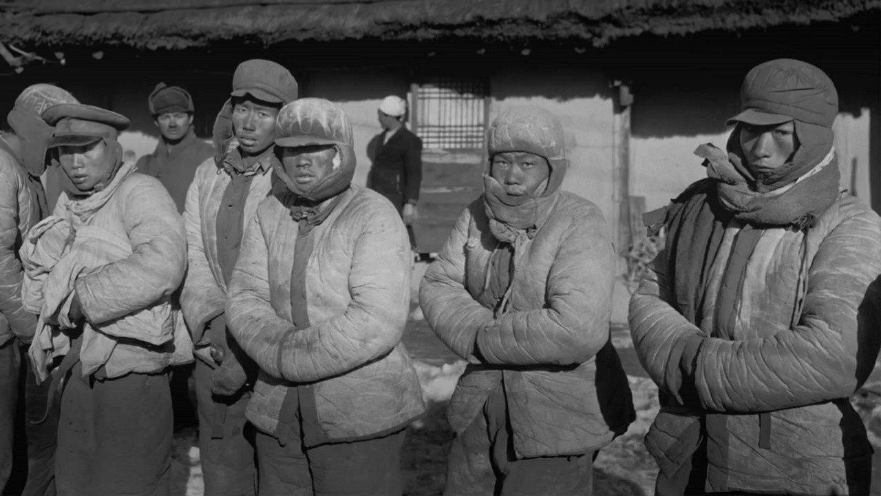 美国经历:长津湖战役