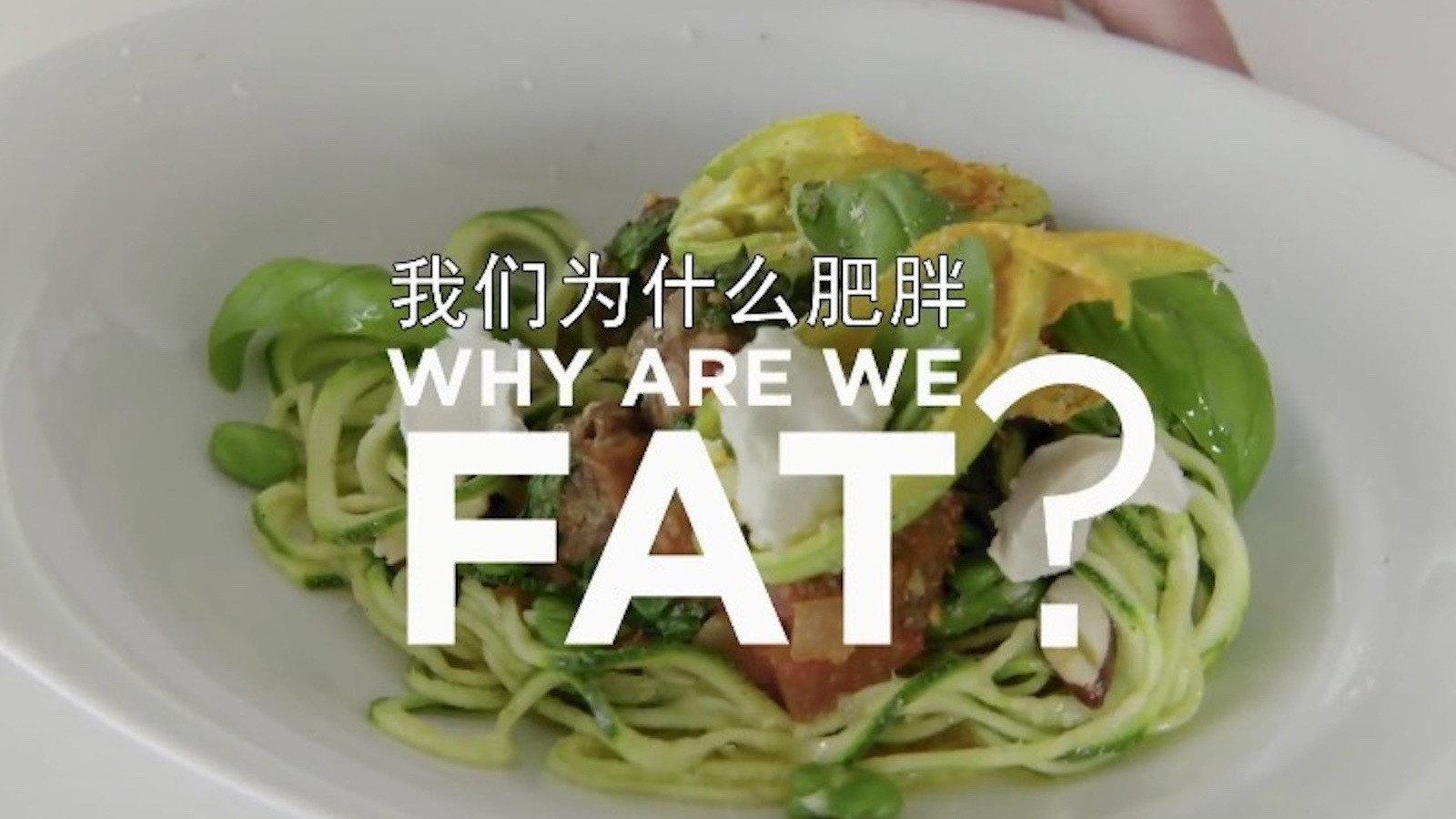 我们为什么肥胖