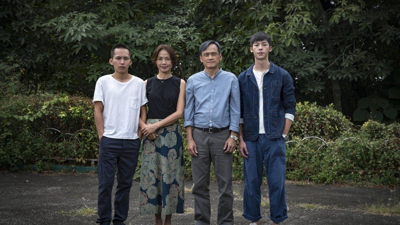 阳光普照