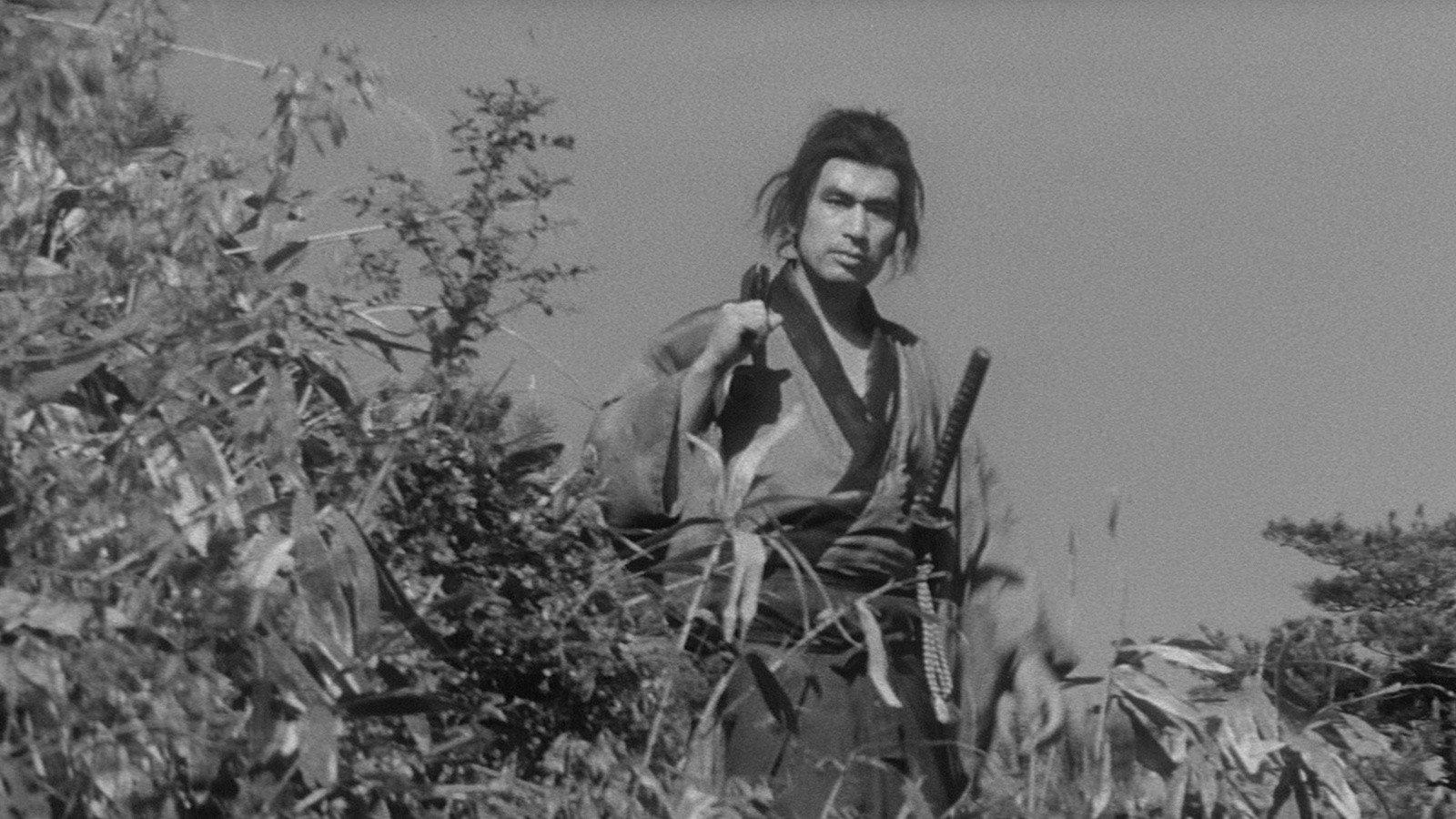 三匹之侍