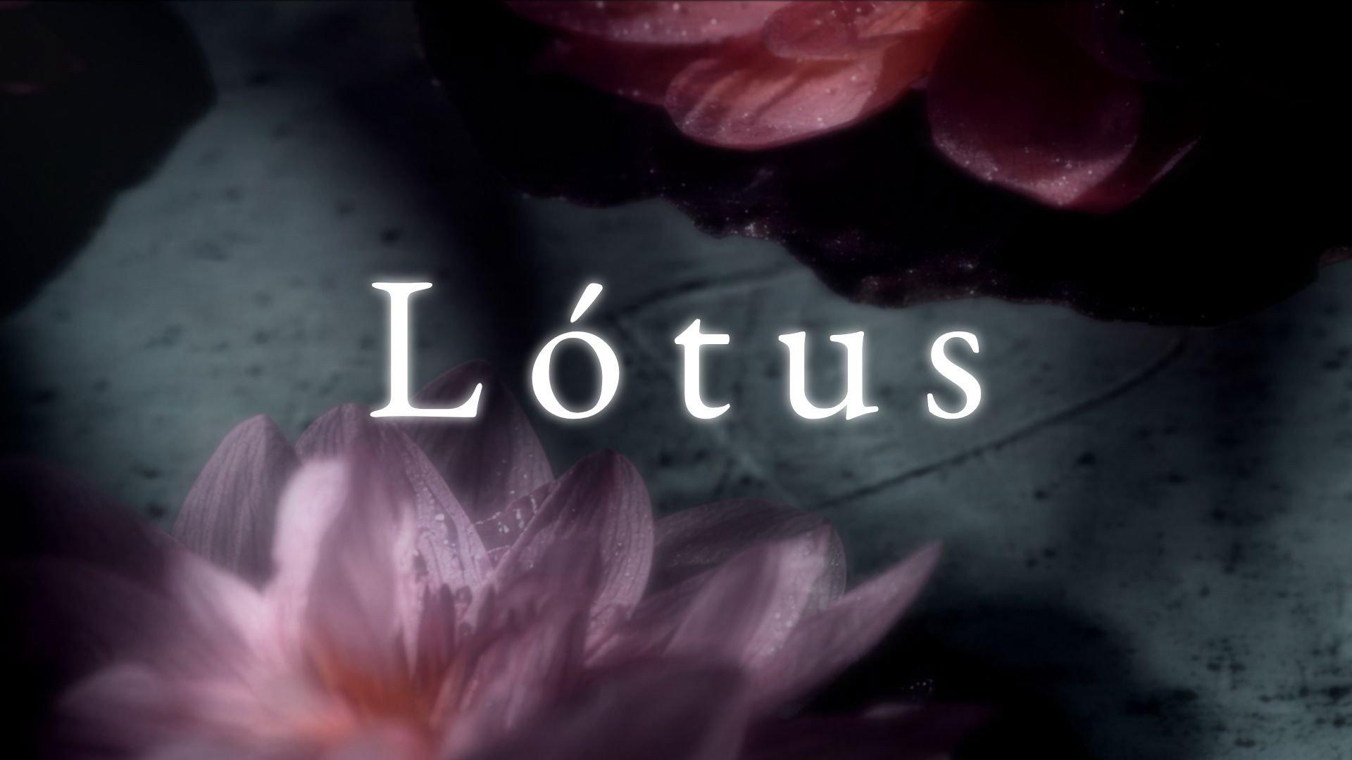 Lótus