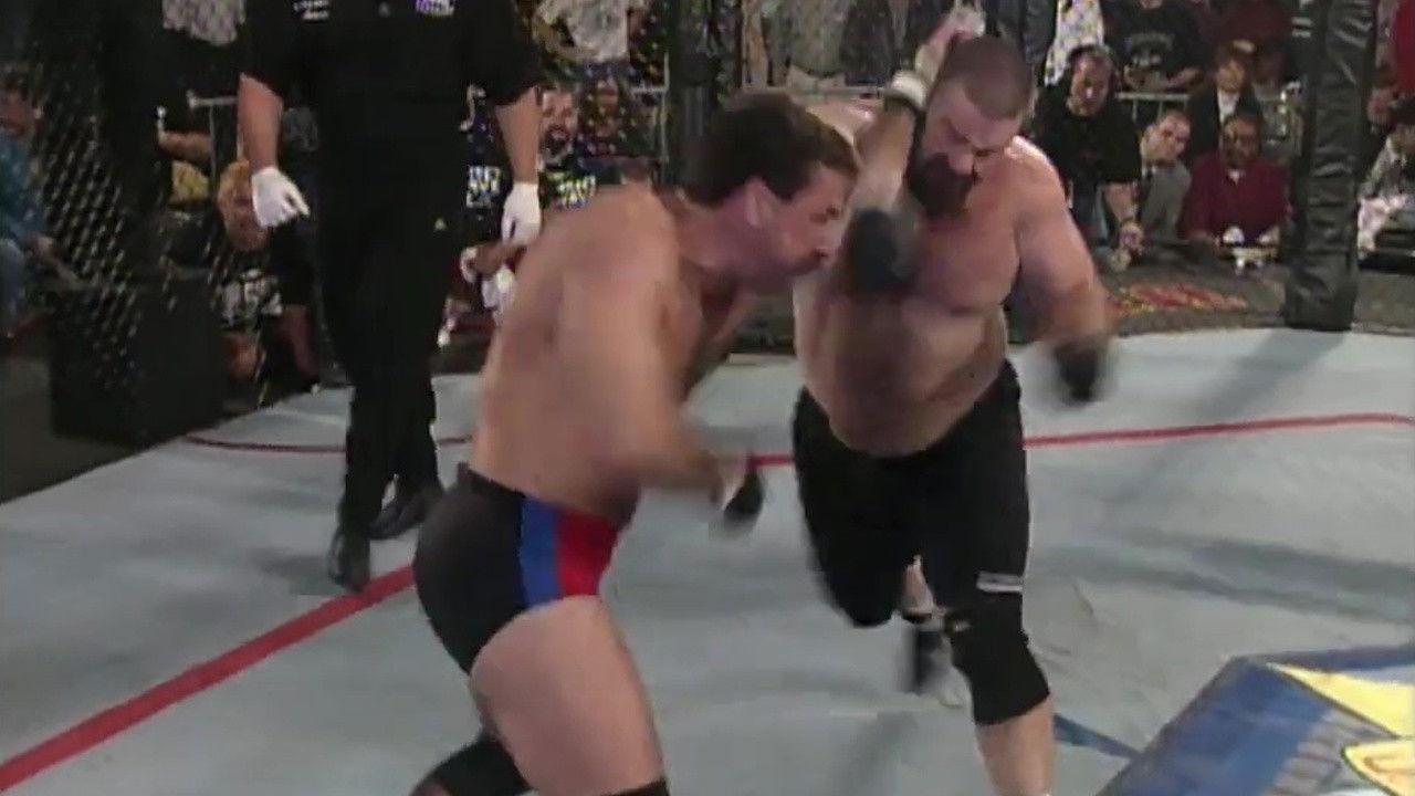 UFC 11.5