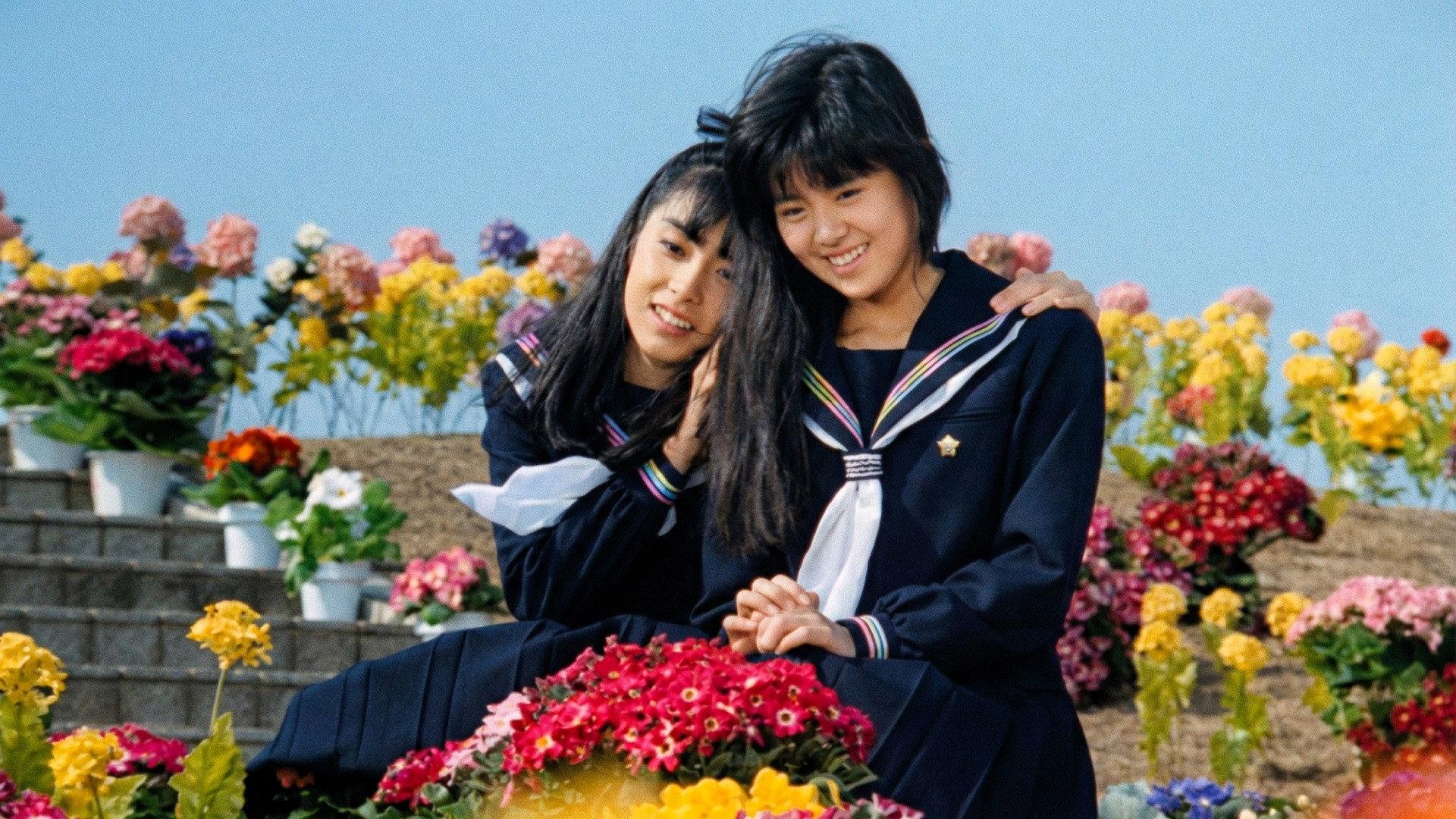 爱丽丝的少女们