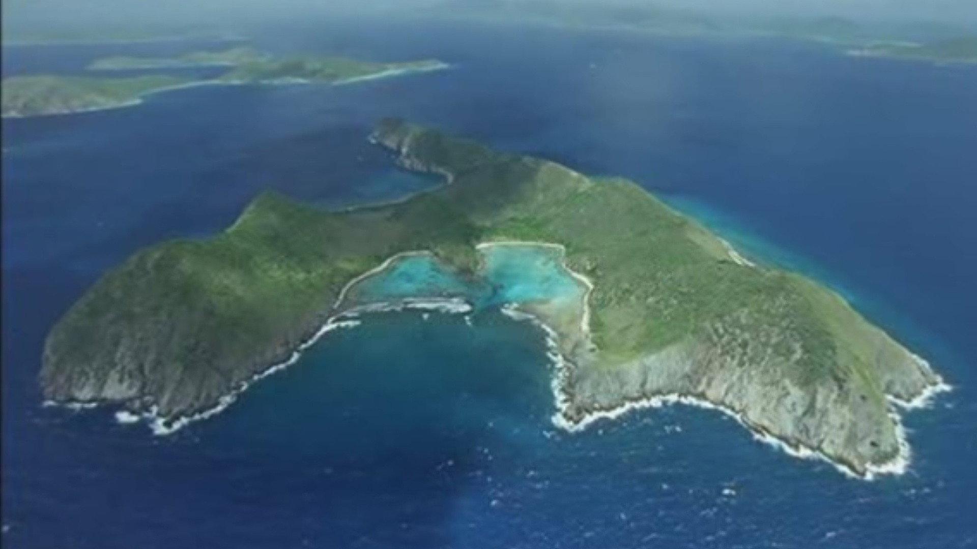 野性加勒比