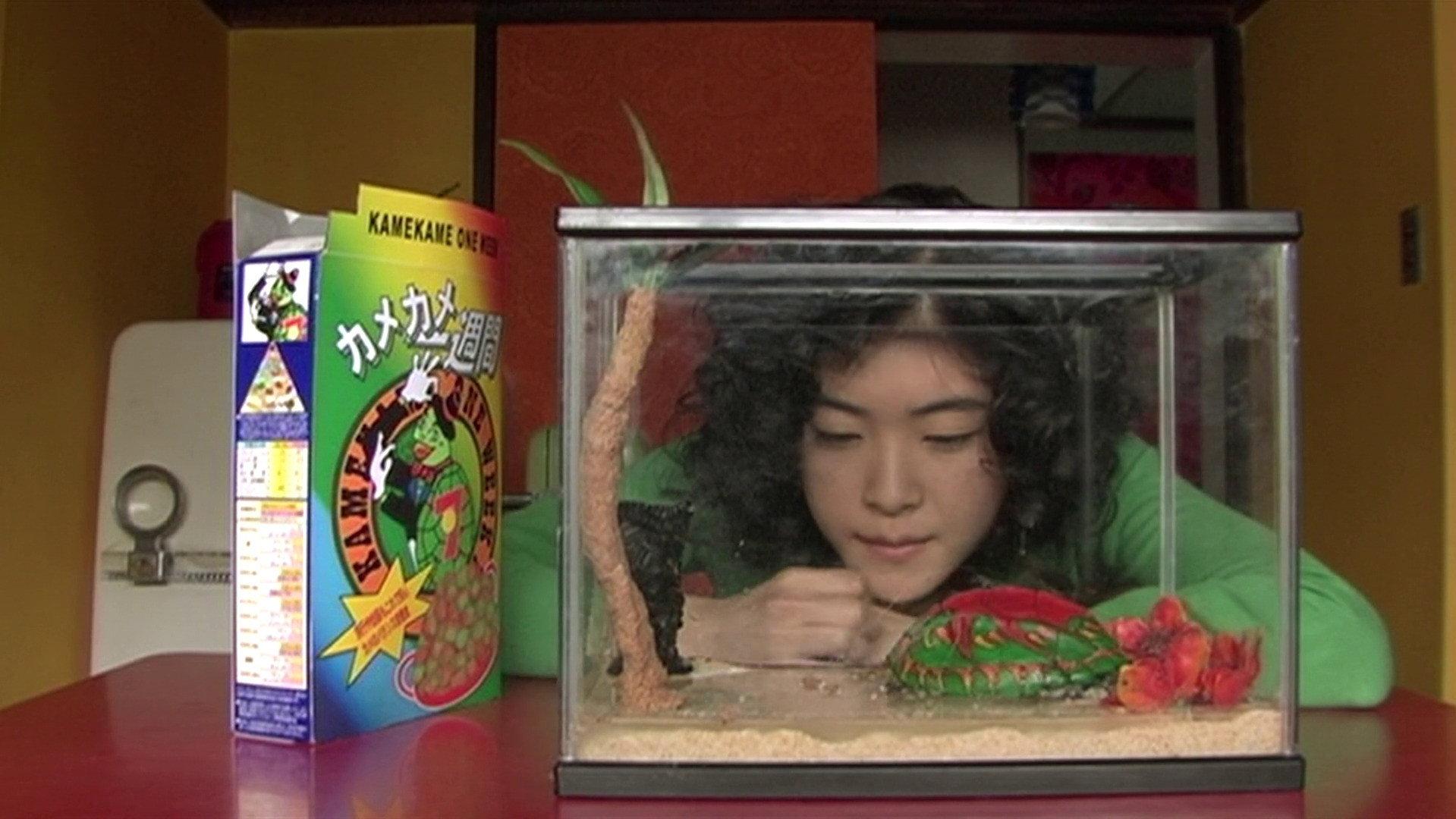 乌龟意外之速游
