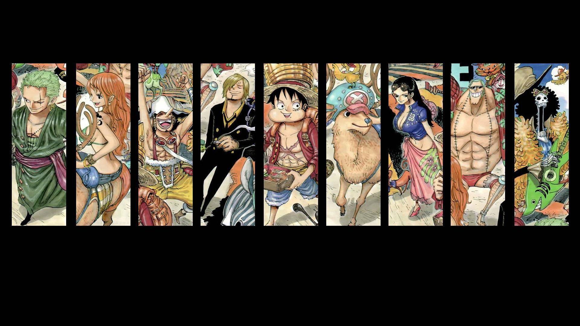 航海王角色日志
