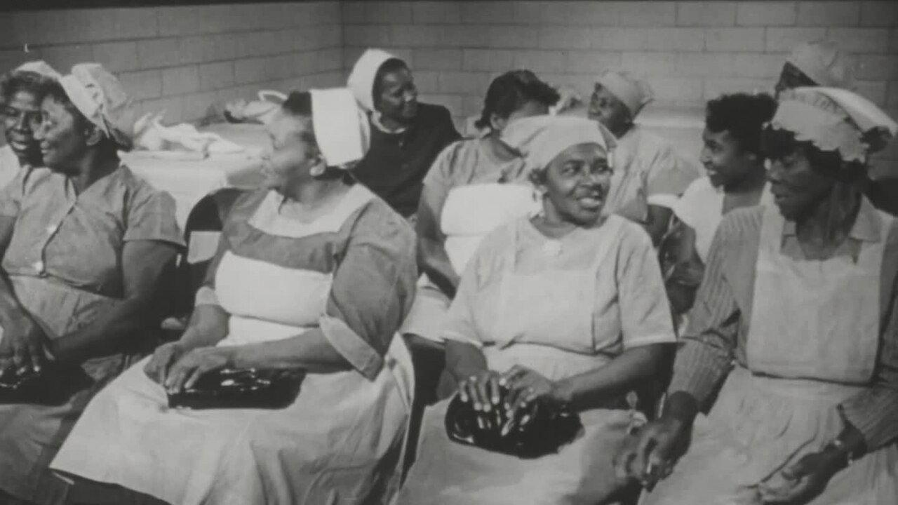 All My Babies... A Midwife's Own Story