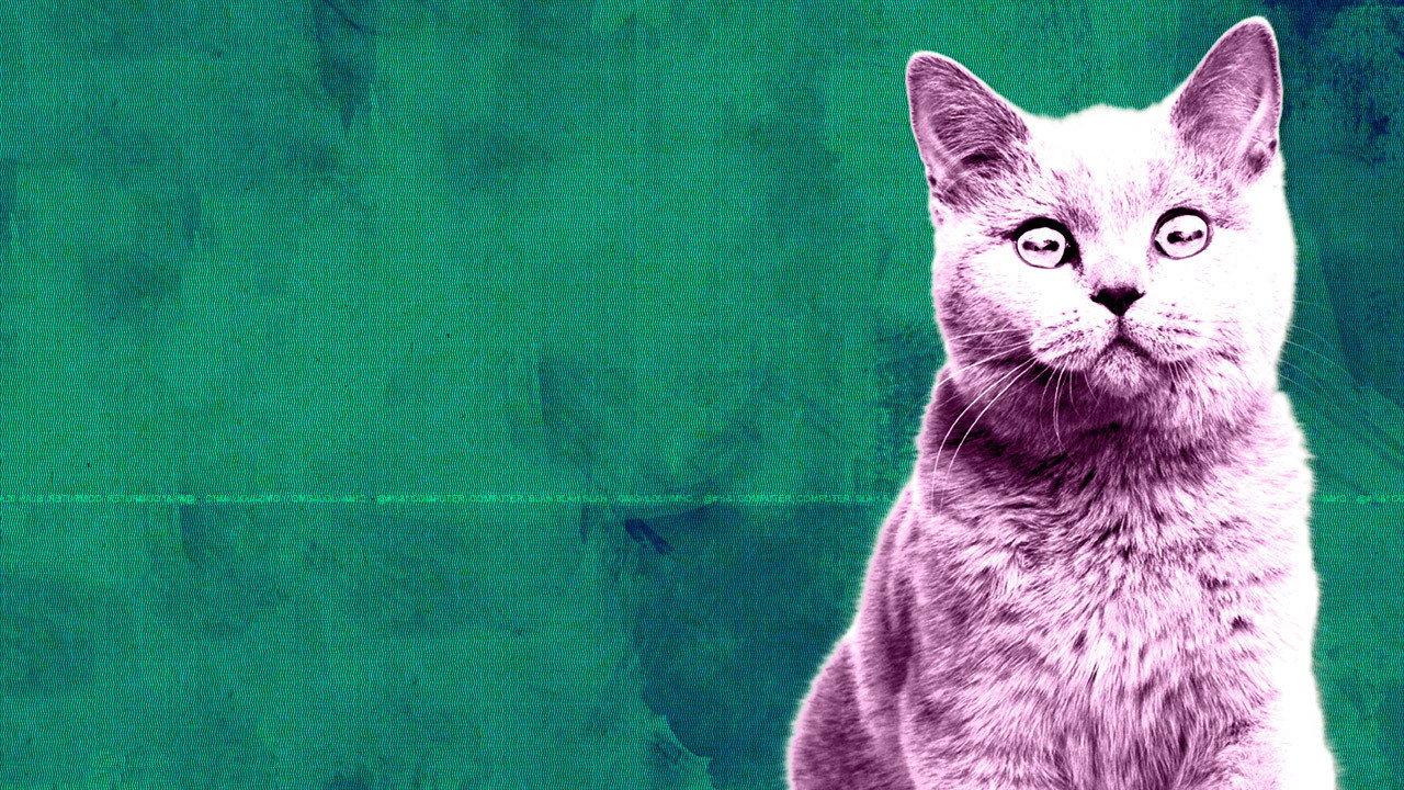 停播