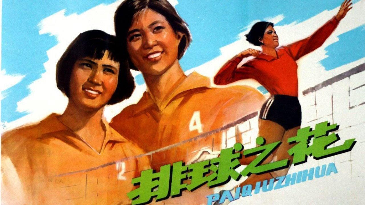 排球之花