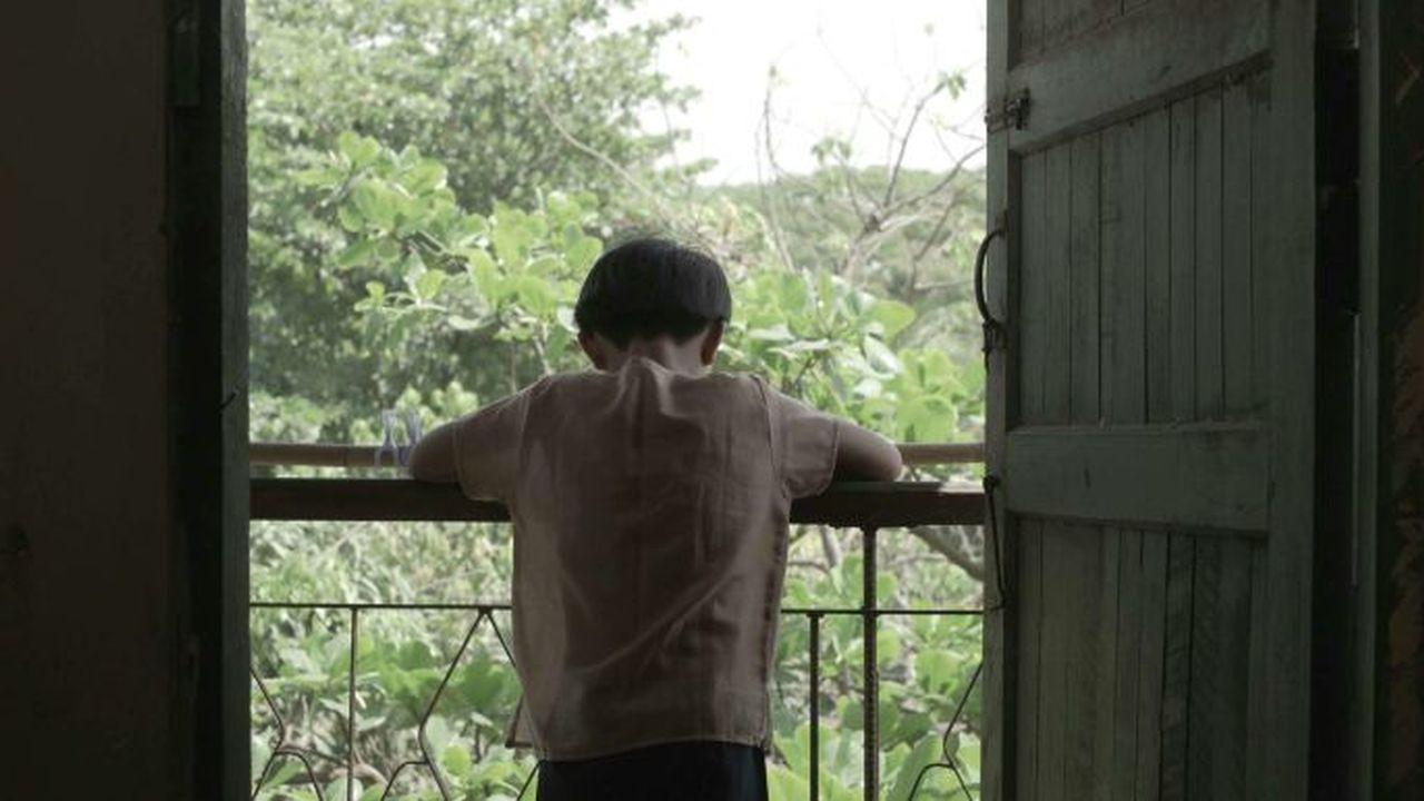 ပြာပြာညိုရောင် မှိုင်းတလဲ့လဲ့