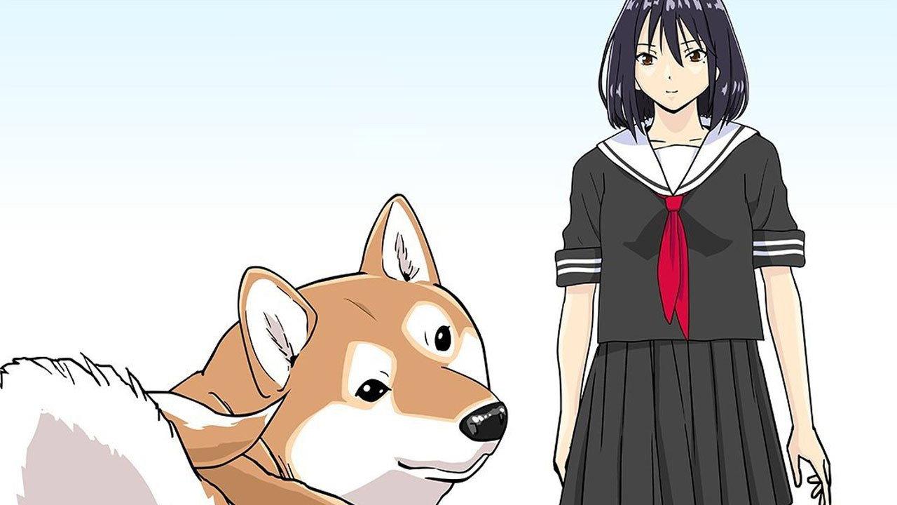 世界末日柴犬为伴