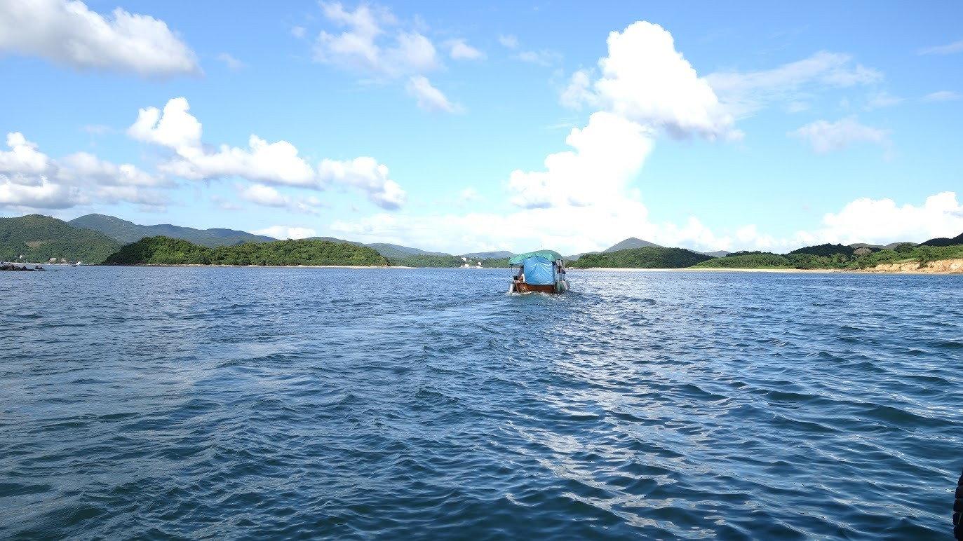 他们的海