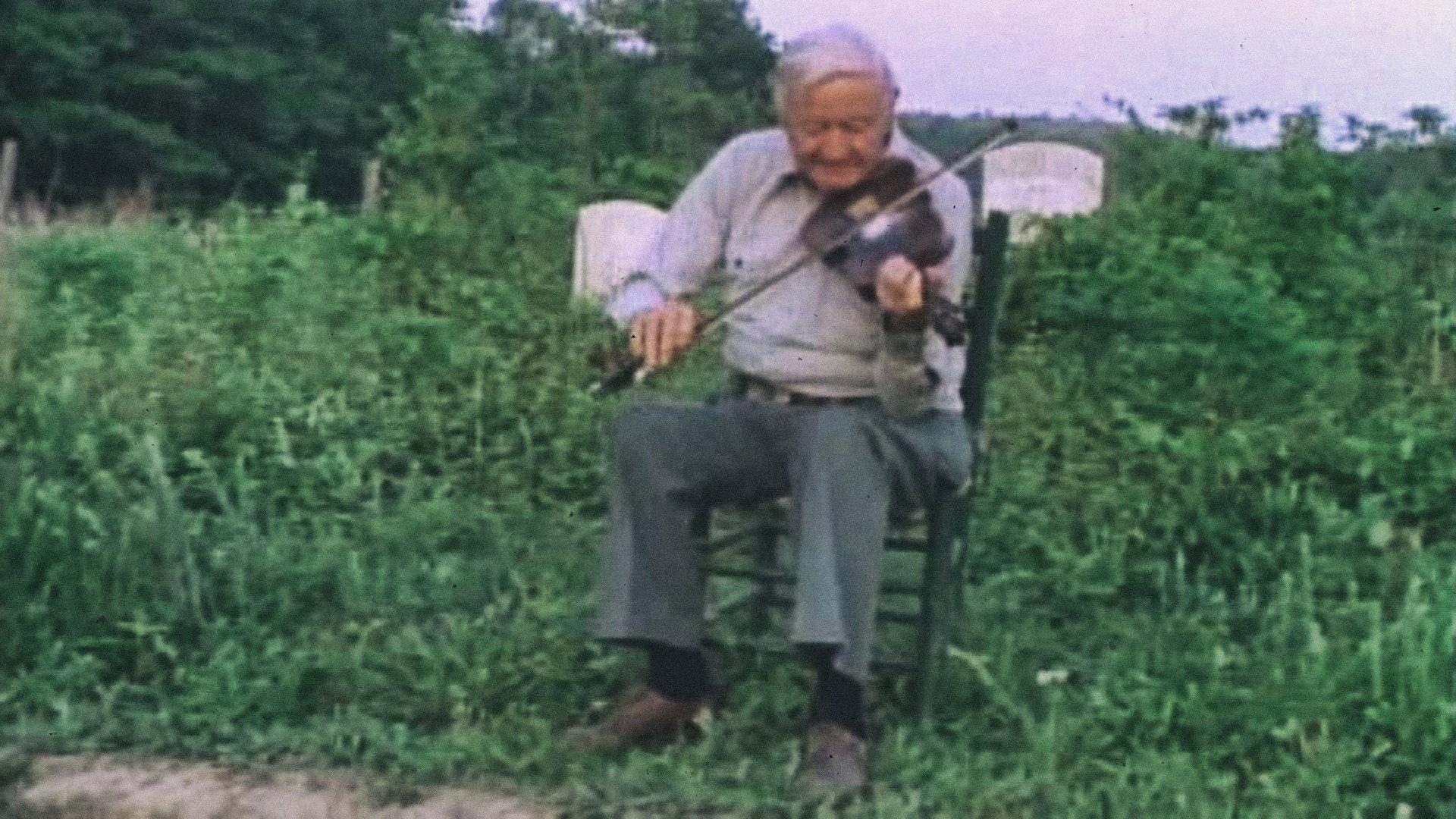 展翅飞翔