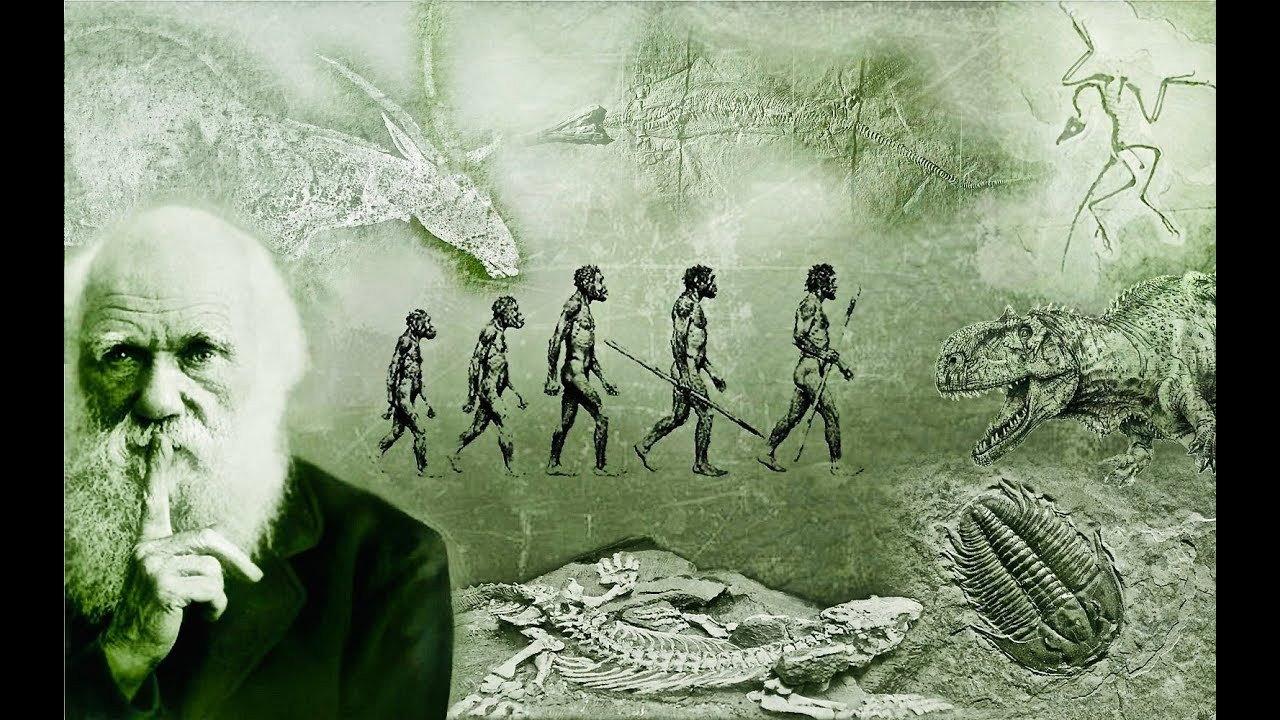 达尔文所不知道的事
