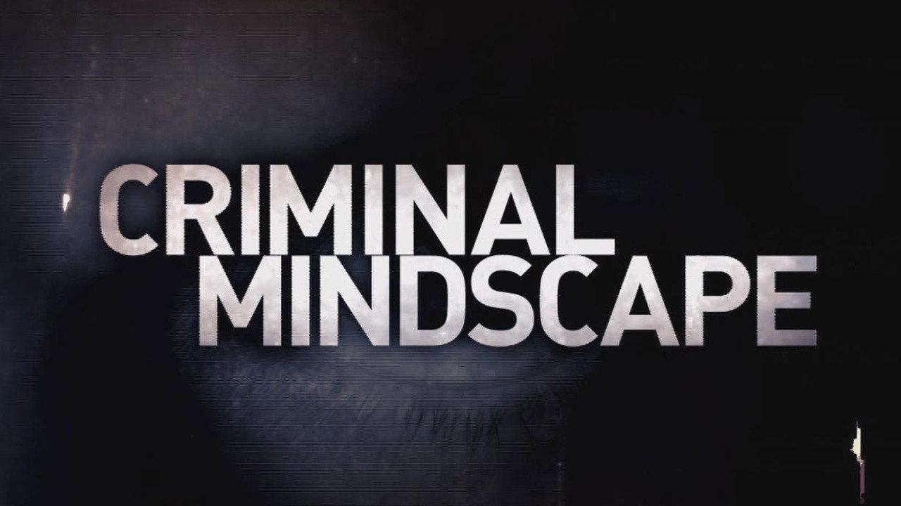 Criminal Mindscape