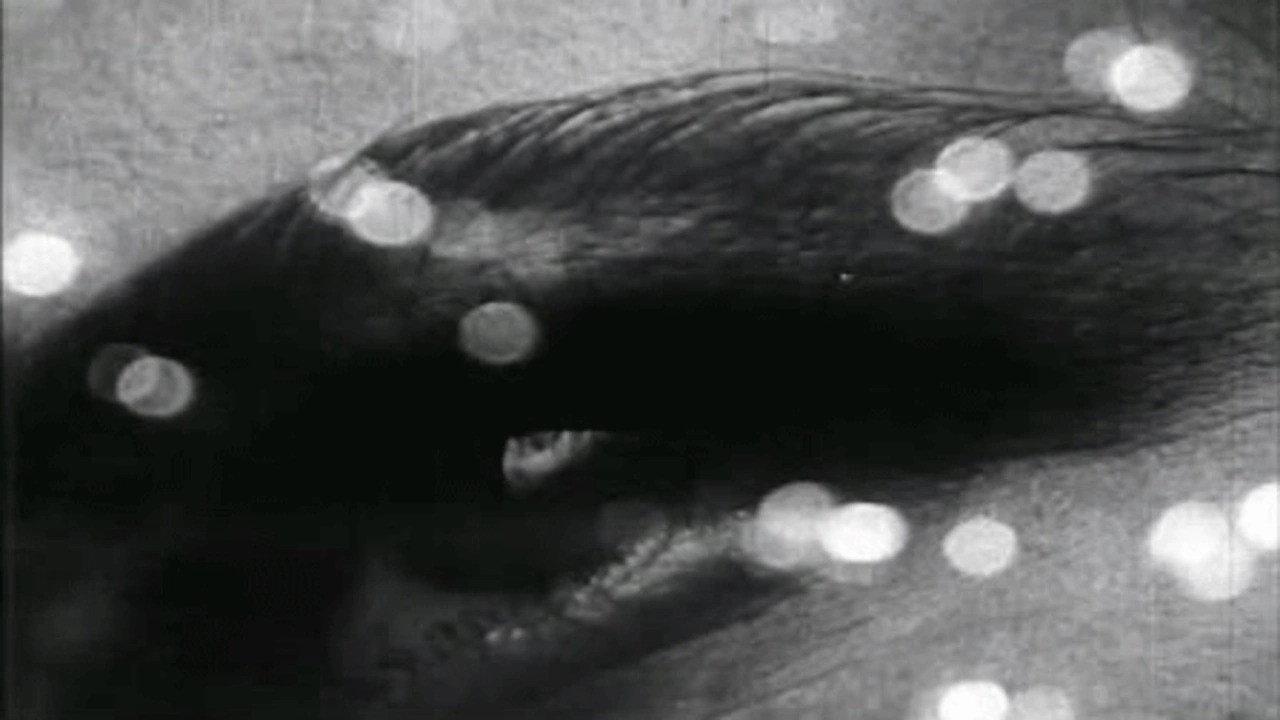 存在与死亡的三联画