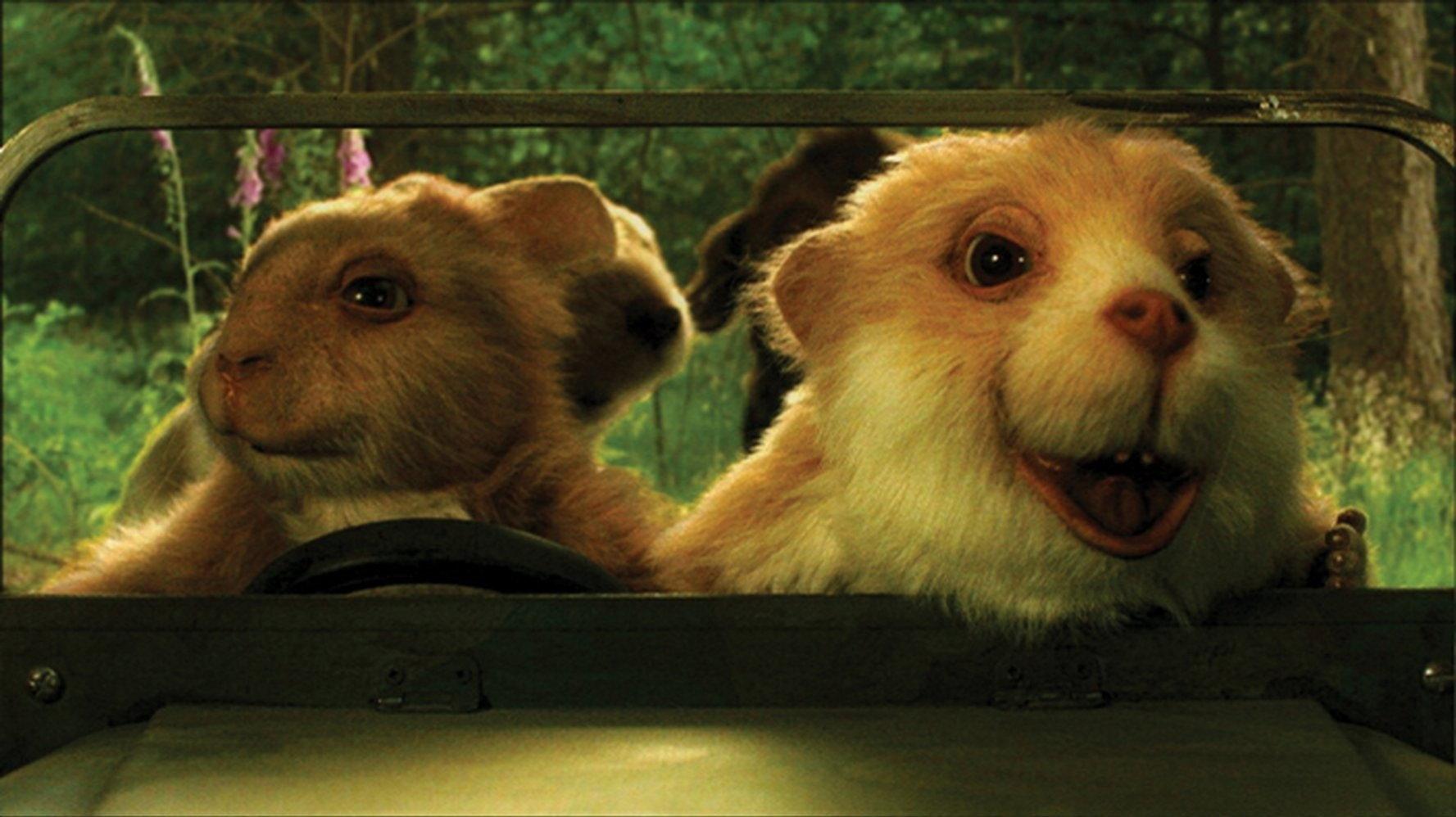 漂流直下