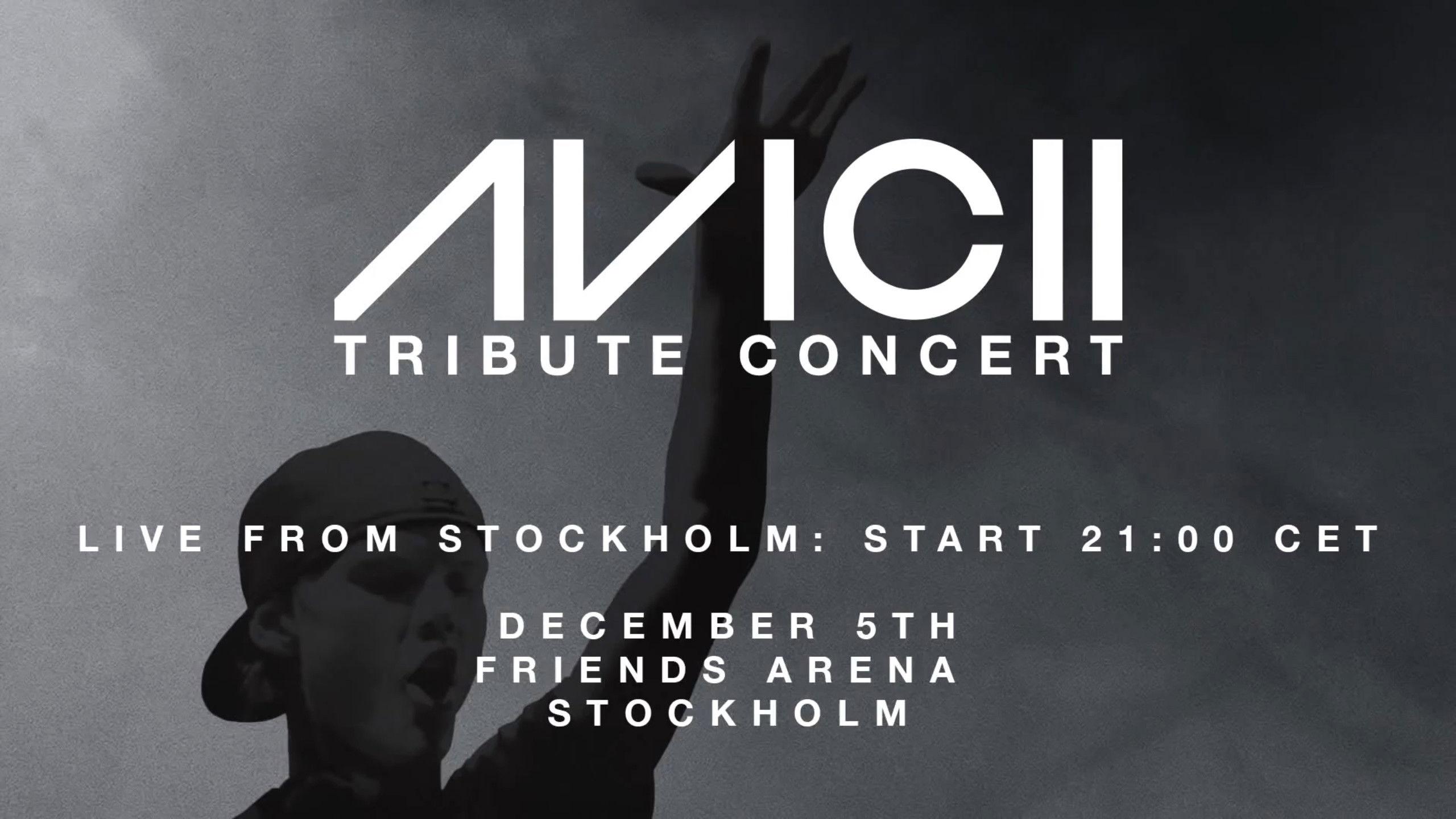 Avicii 致敬音乐会:纪念蒂姆·伯格林