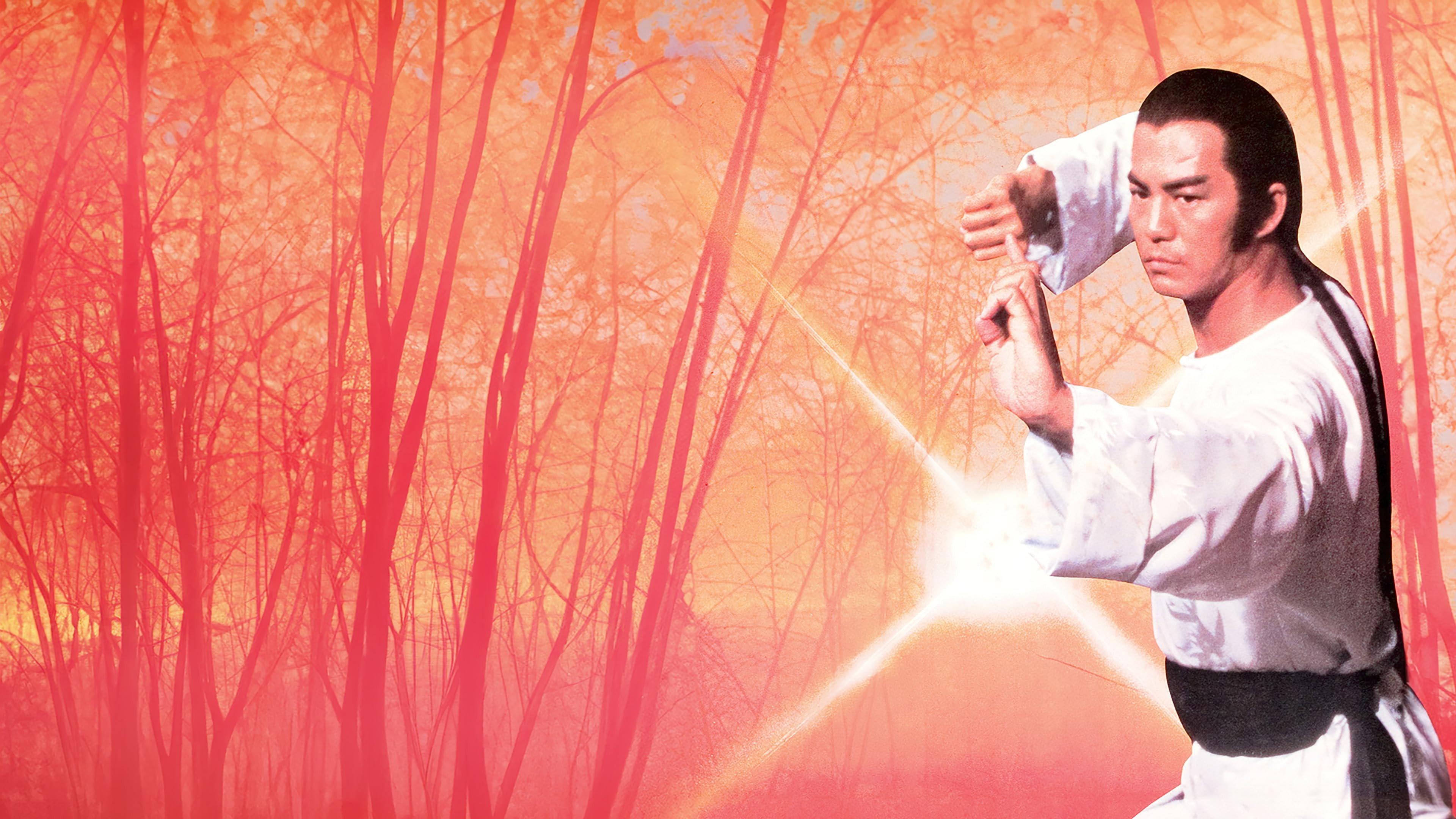 洪拳大师