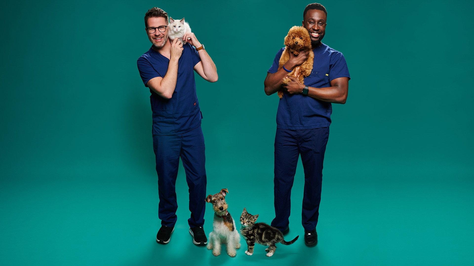 毛宝贝