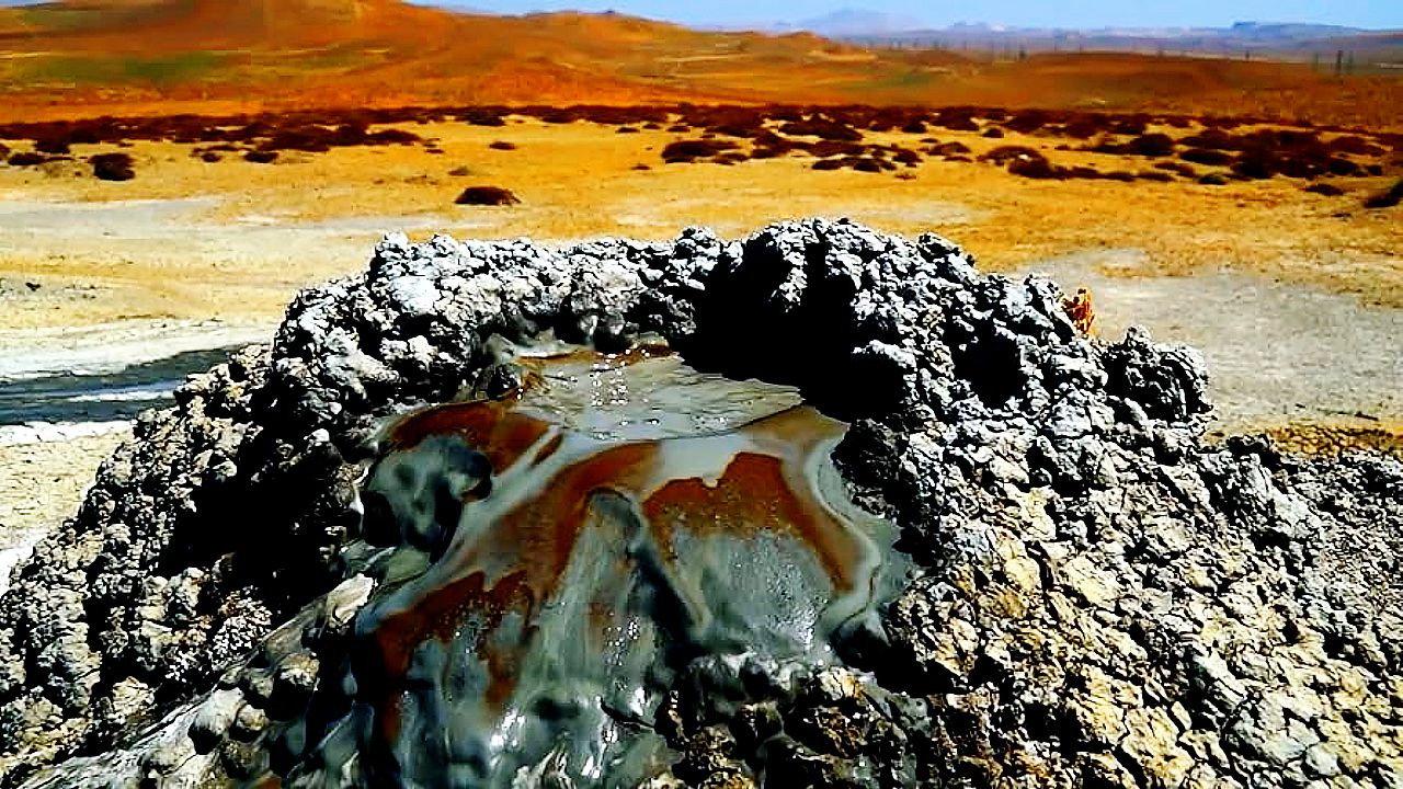 中东野生大地