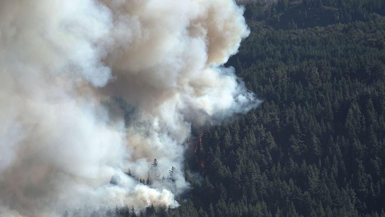 Ecos del Fuego
