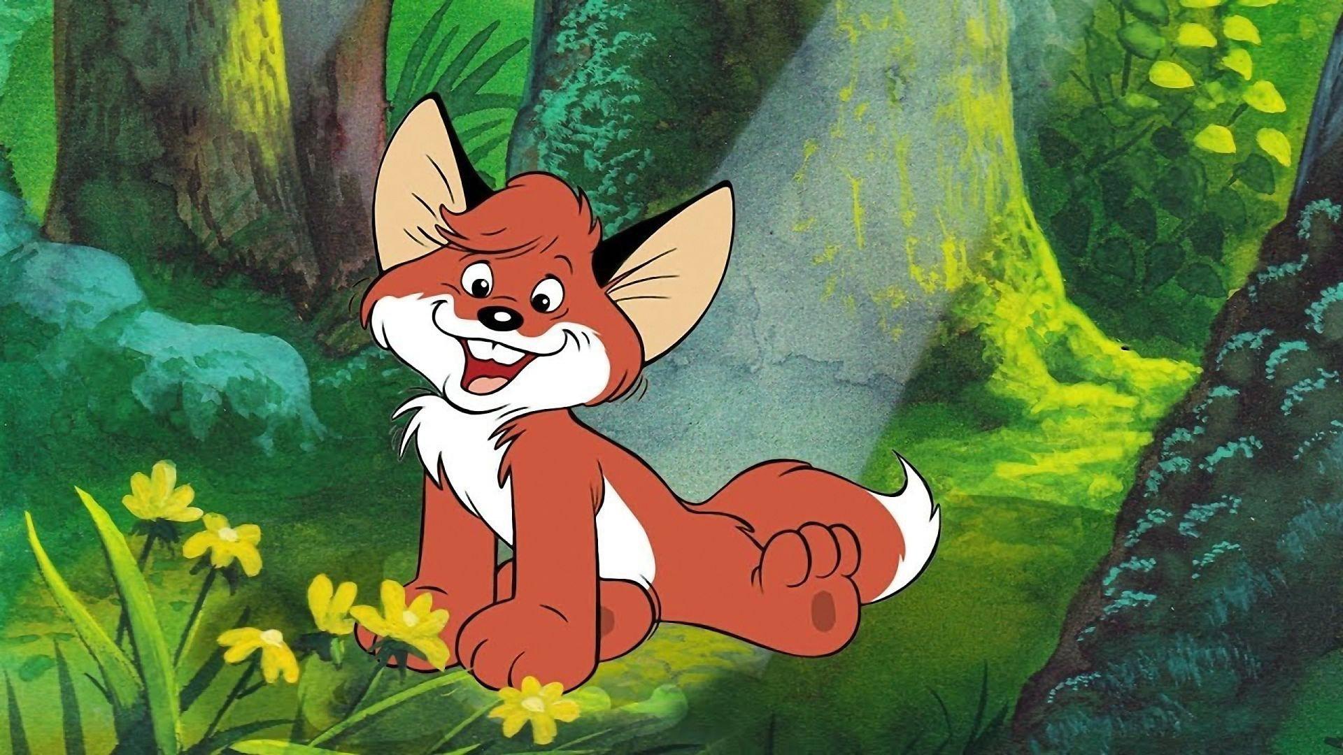 小狐狸