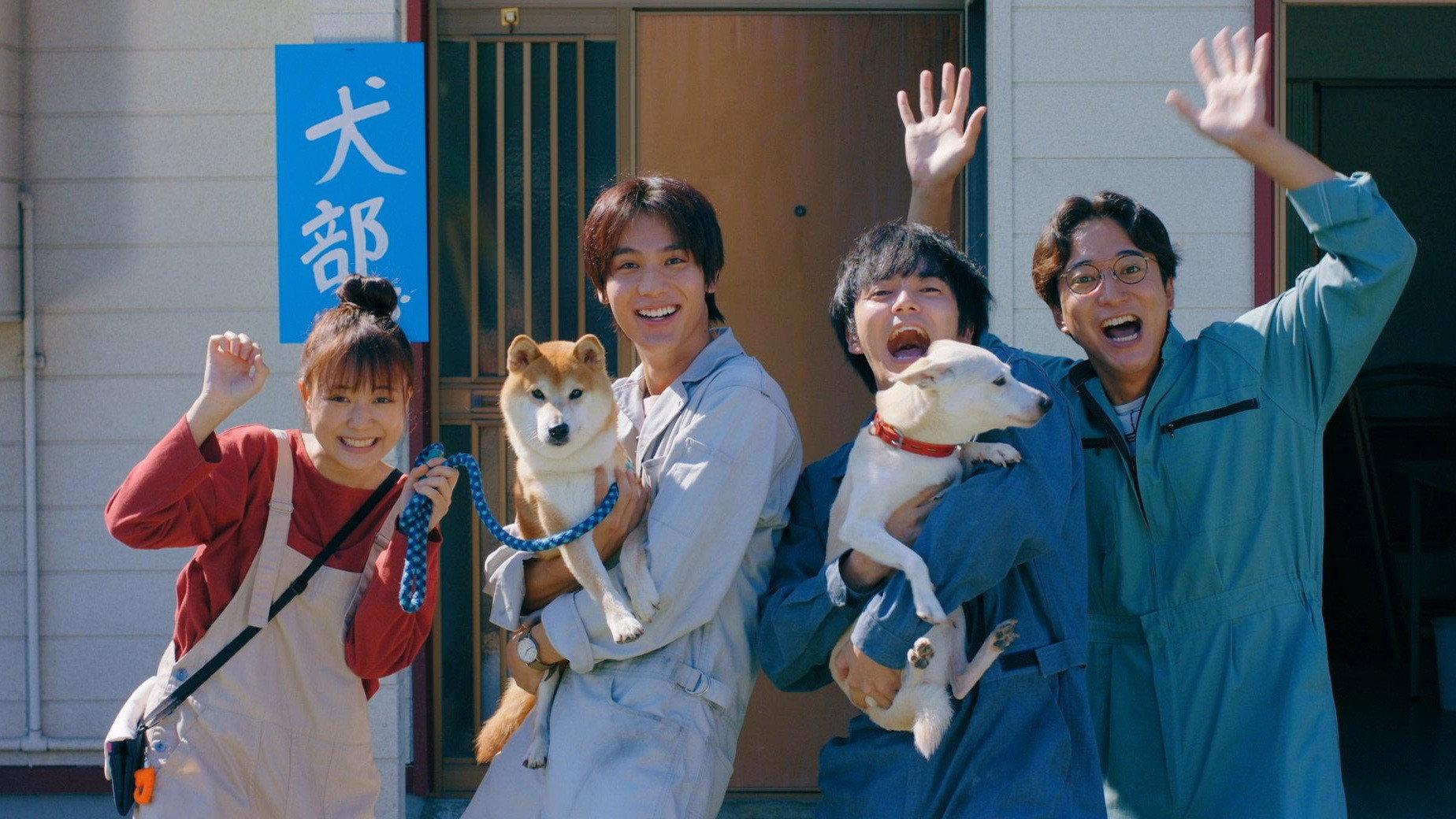 犬部!