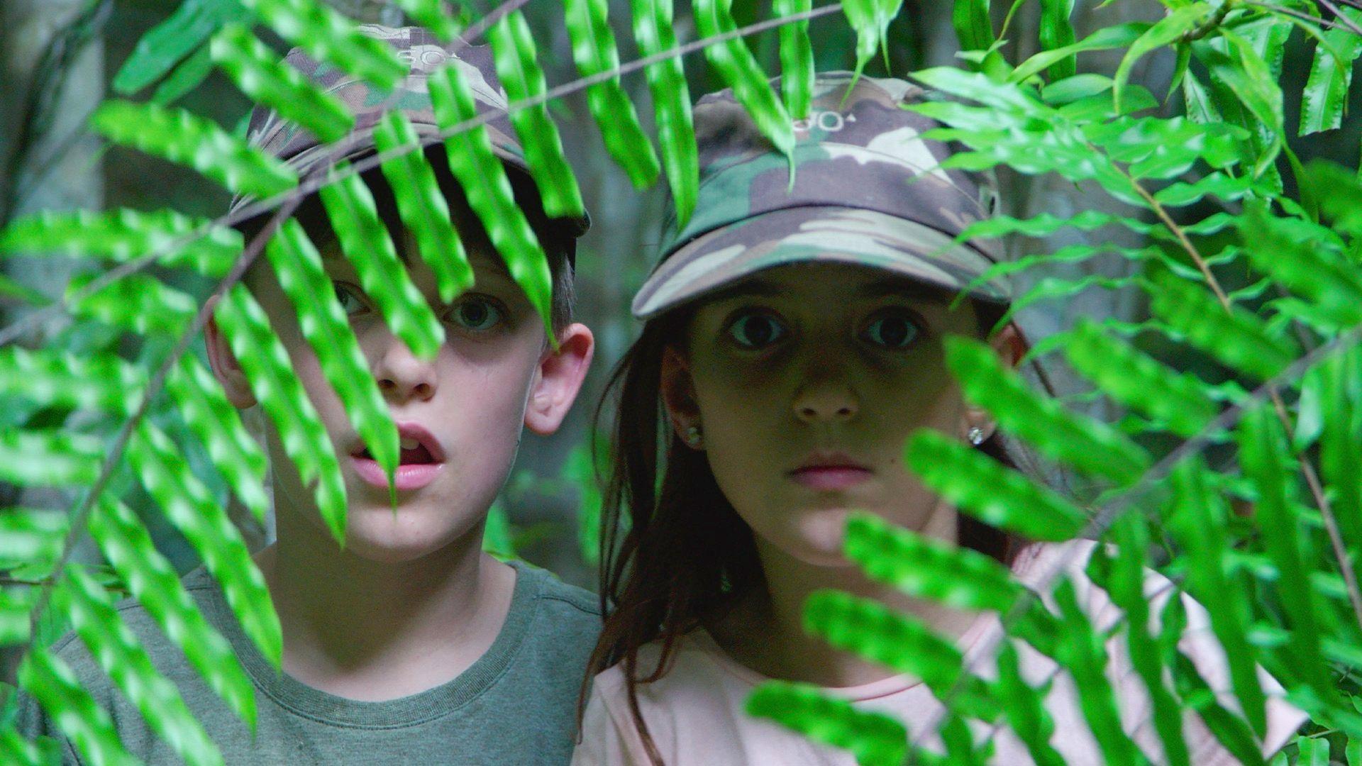 Kids Safari