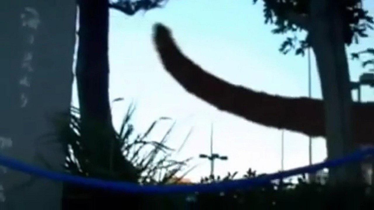 怪兽