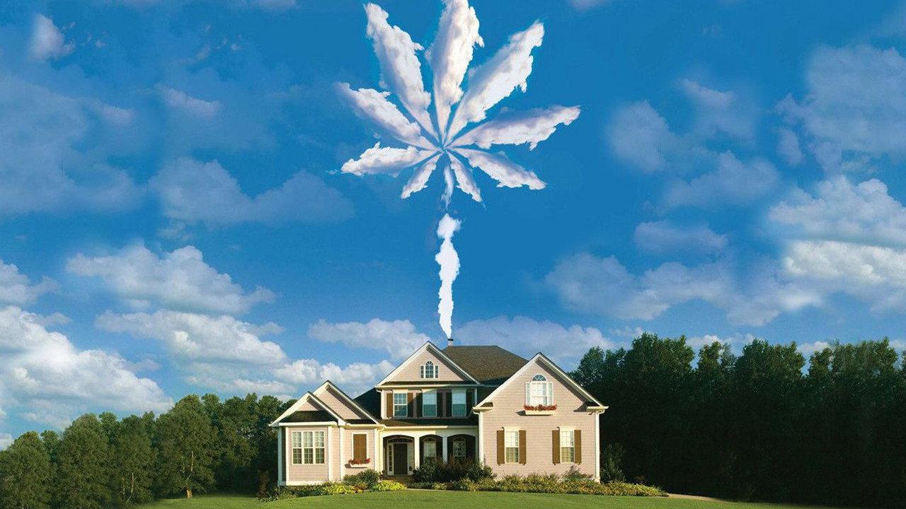 我家种大麻
