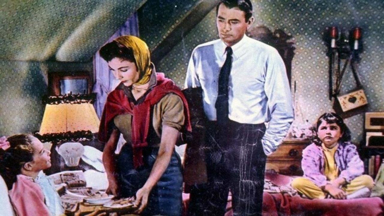 一袭灰衣万缕情