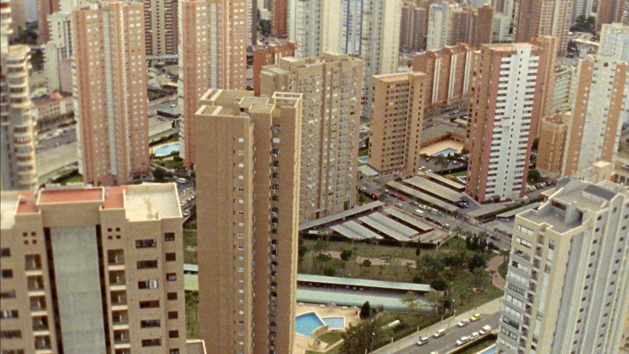 寻羊的复制人
