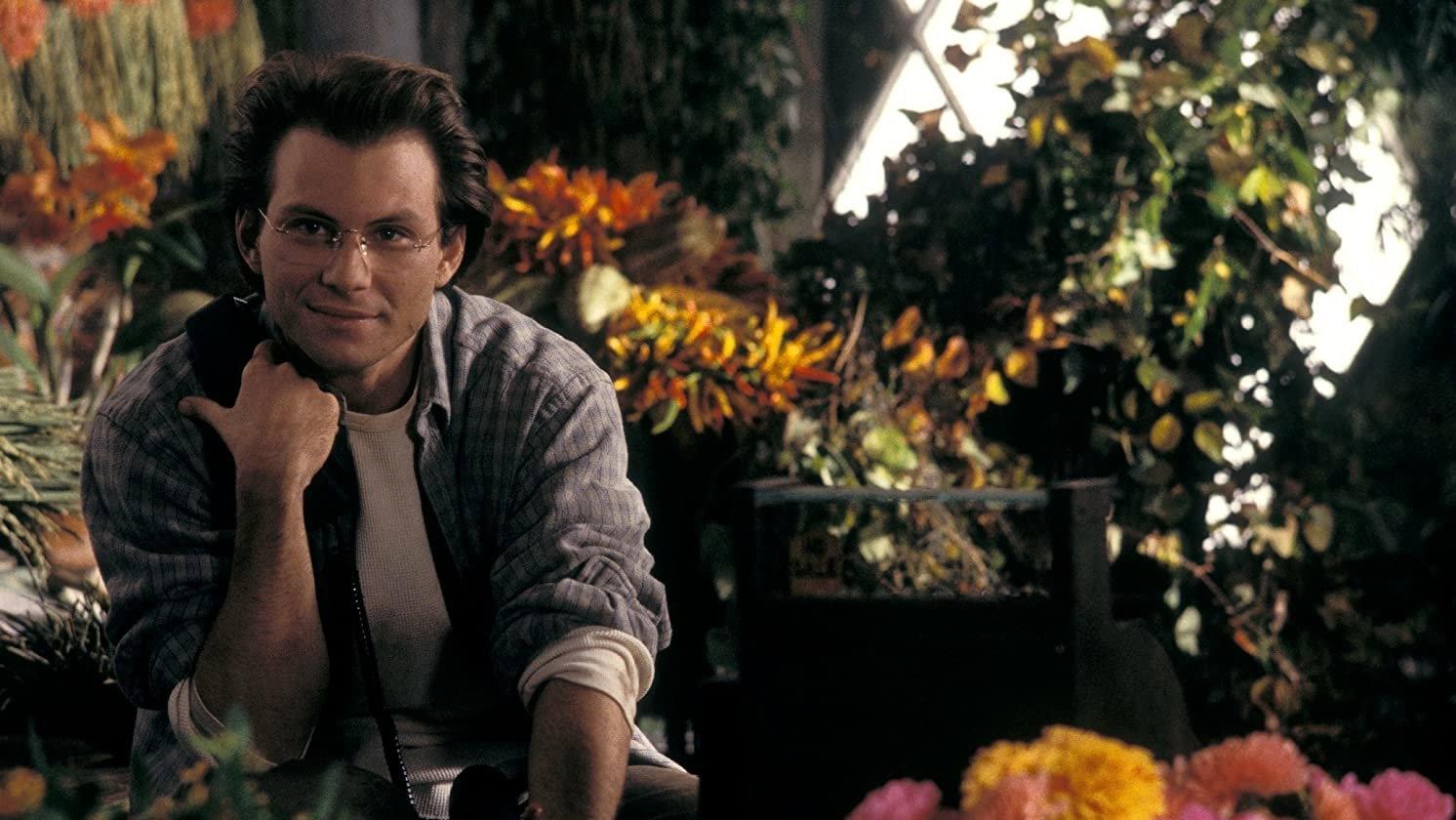 玫瑰花床