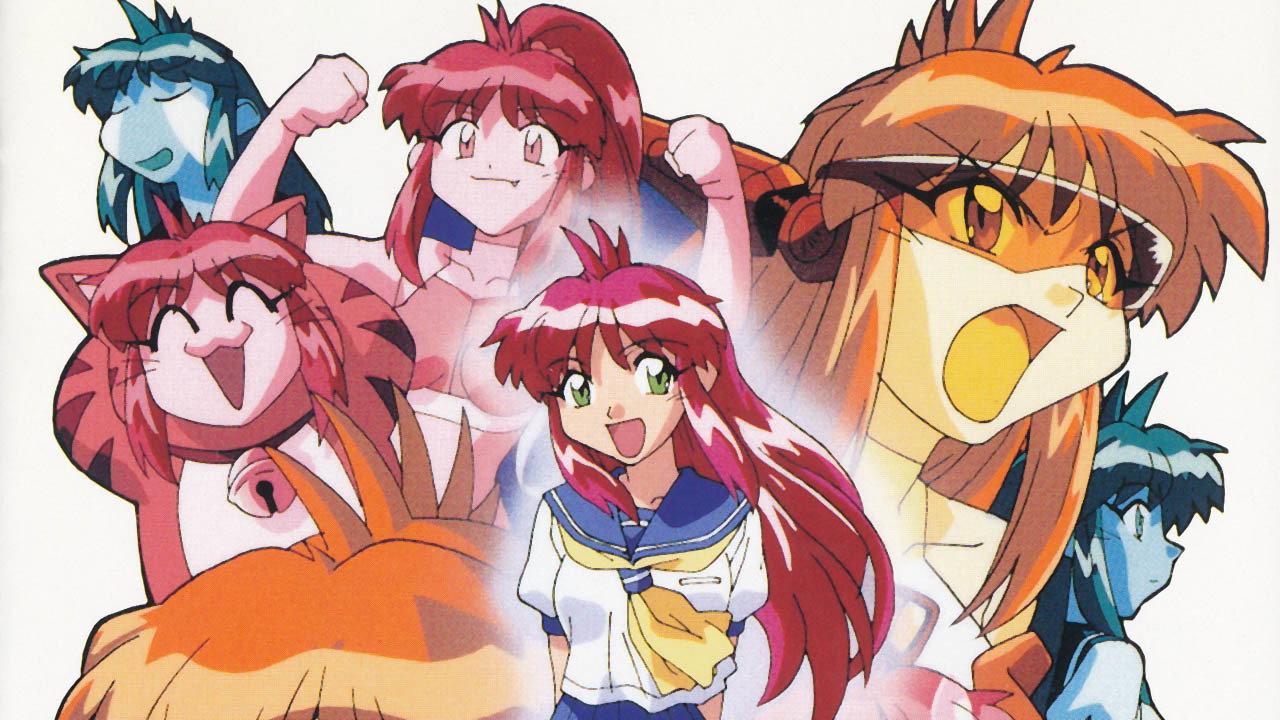万能文化猫娘 TV版