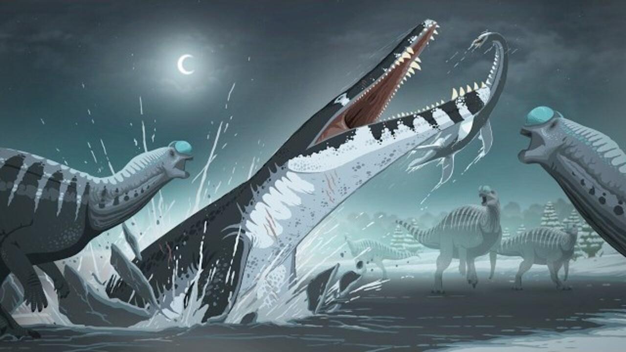 Monsters Down Under
