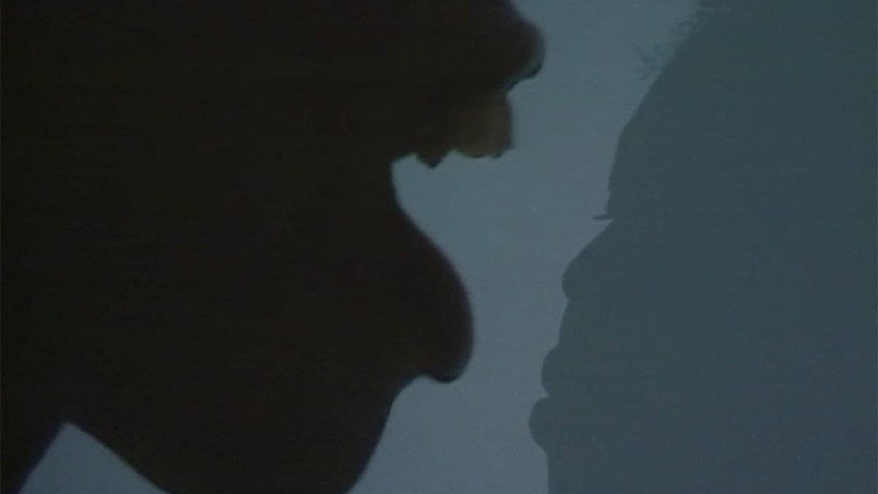 不,我什么都不后悔